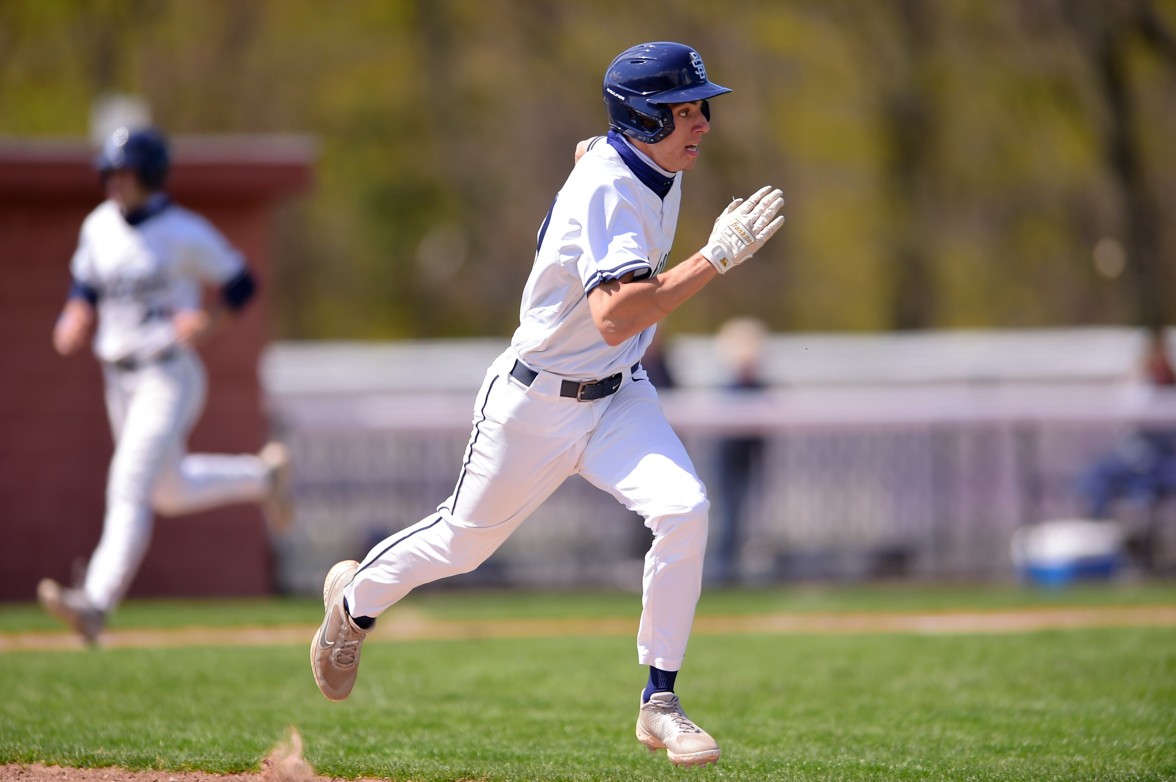 Behrend Baseball Takes on Mt. Aloysius in AMCC Semifinals