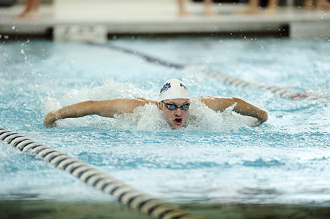 Lions Dominate Day One of AMCC Men's Swimming and Diving Championships