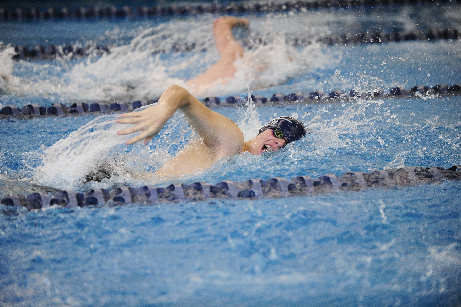 Men's Swimming and Diving Downs Alfred State