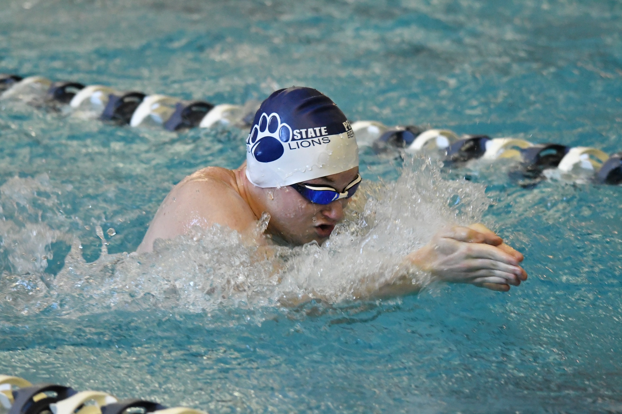 Men's Swimming and Diving Dominates Chatham