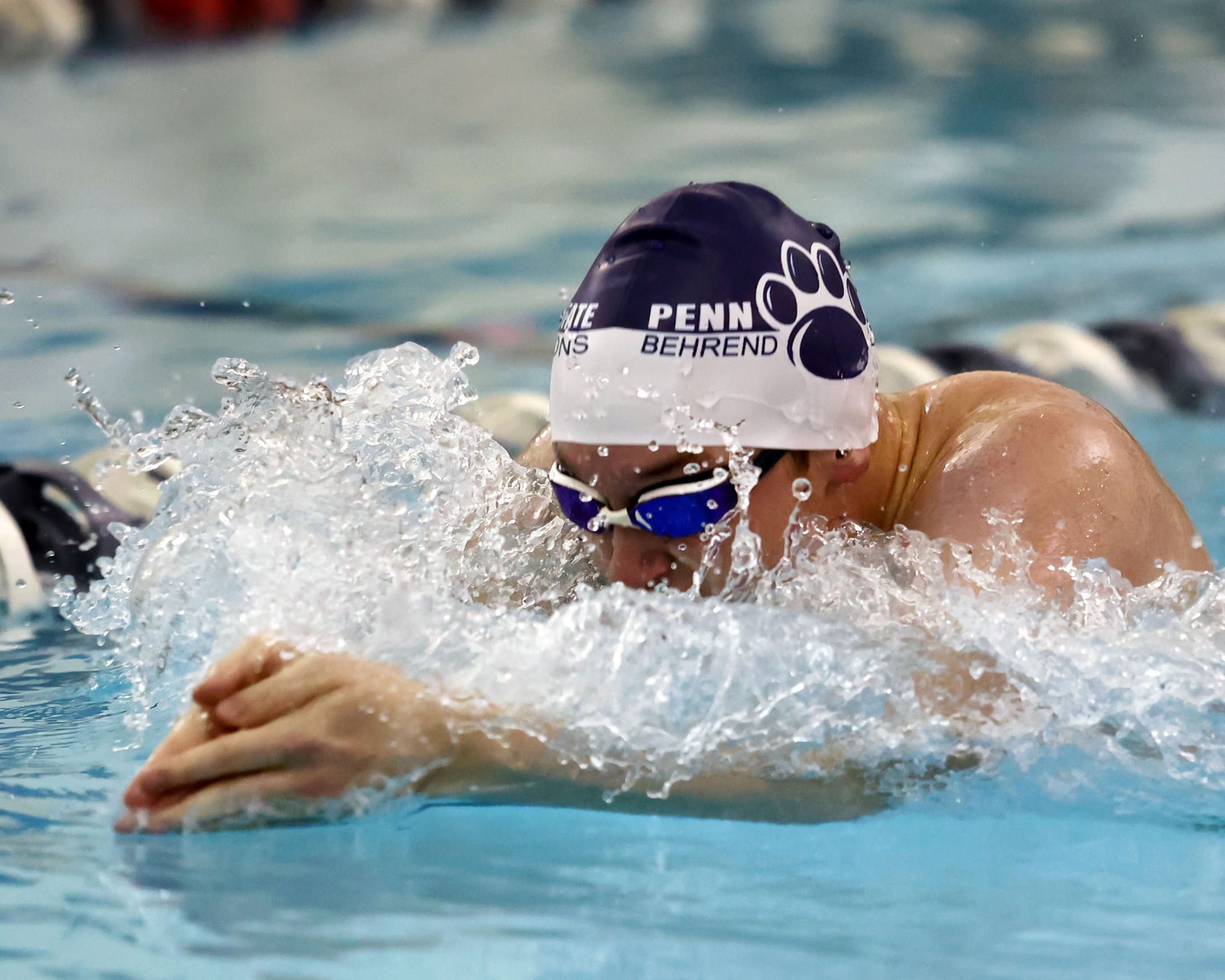 Behrend Men's Swimming and Diving Triumphs Over Penn State Altoona