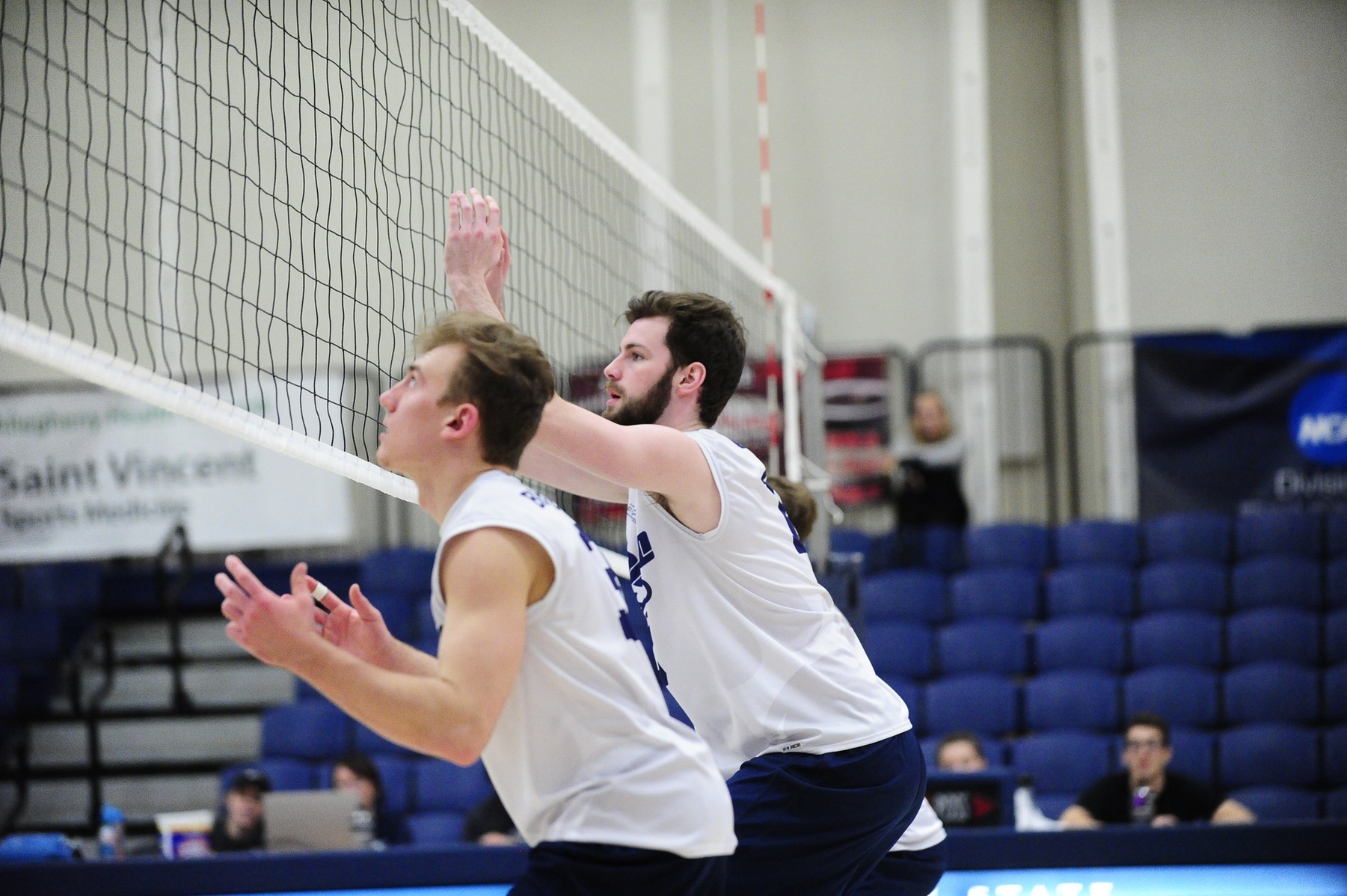 Lions Sweep D'Youville