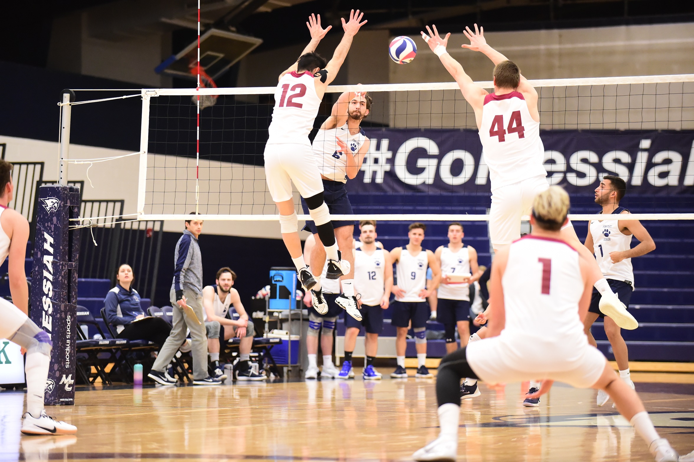 Behrend Men's Volleyball Competes in Non-Conference Tri-Match