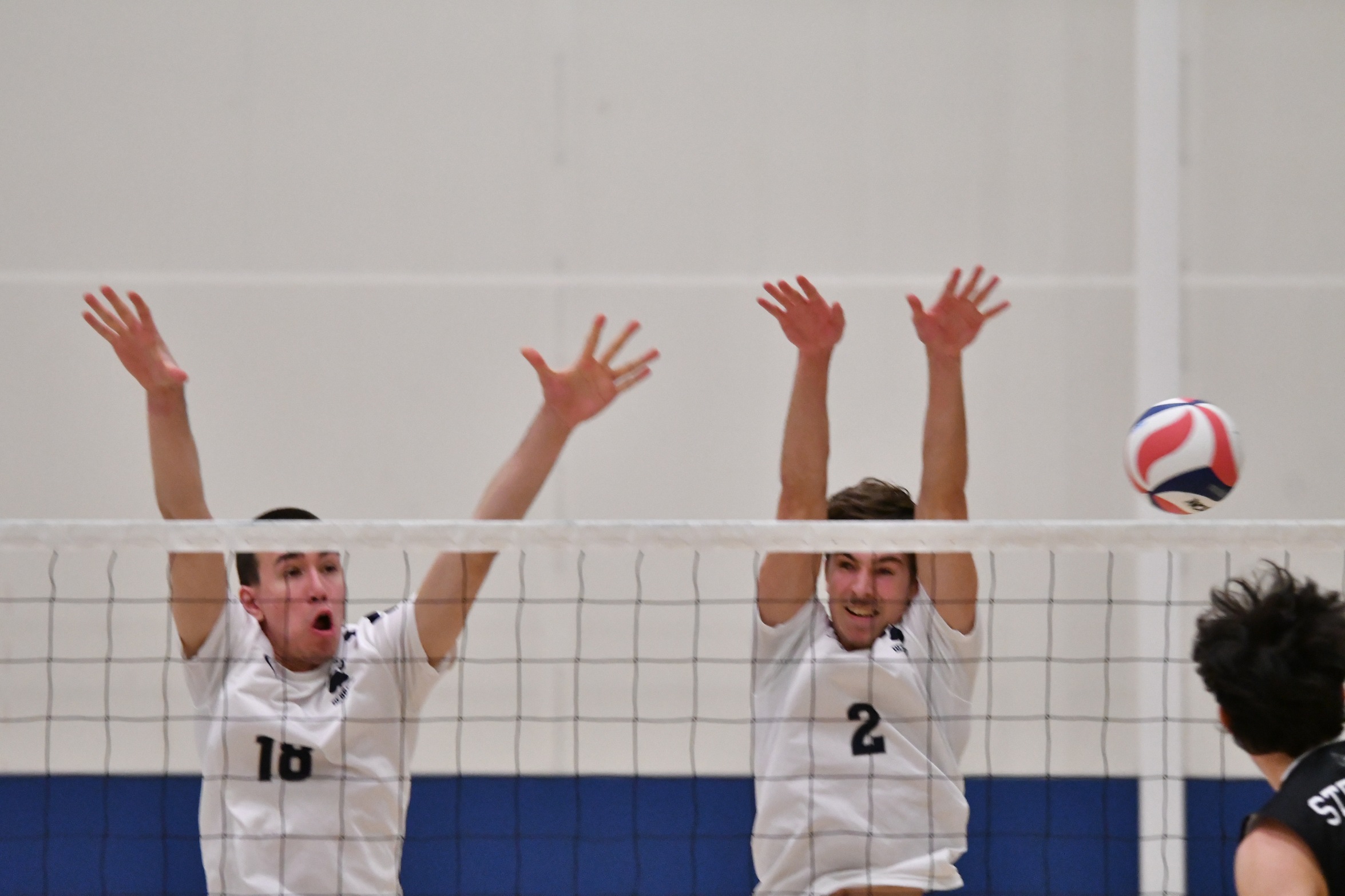 Men's Volleyball Defeats Houghton