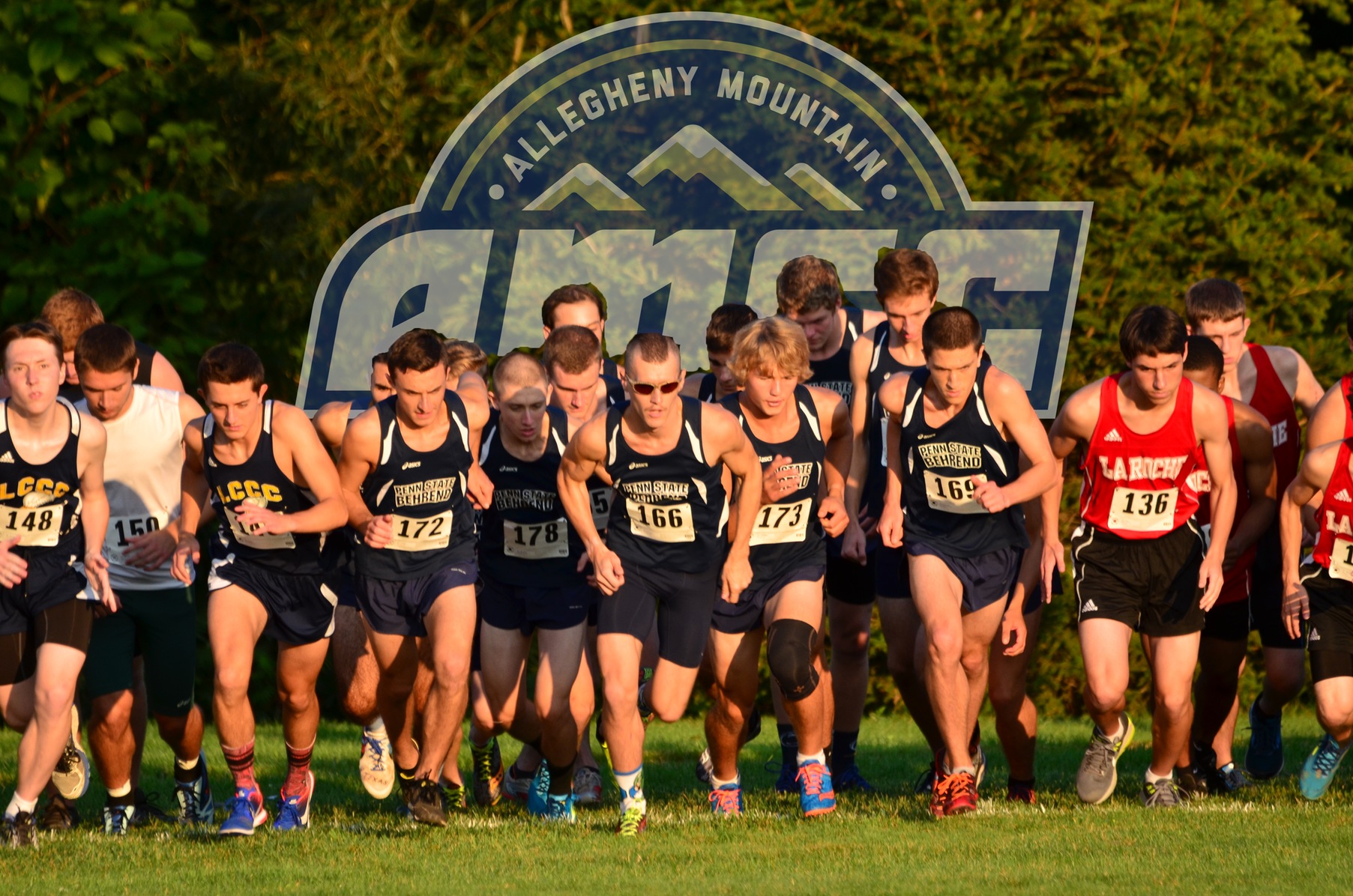 Cross Country Set to Compete at AMCC Championships