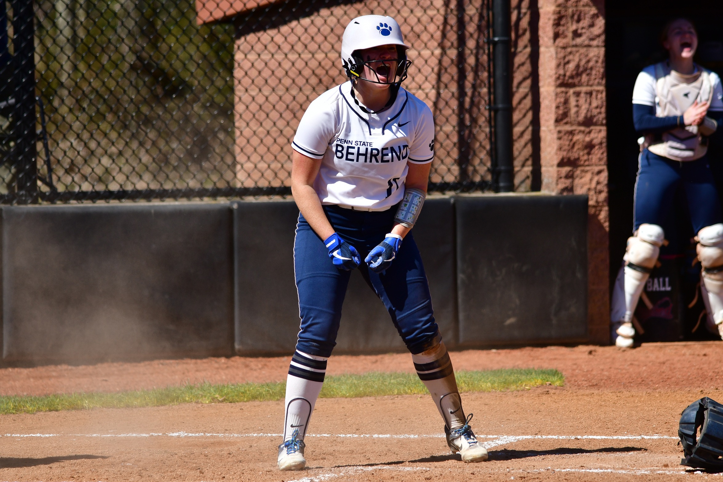 Behrend Softball Remains Unbeaten in AMCC; Lions Sweep Alfred State