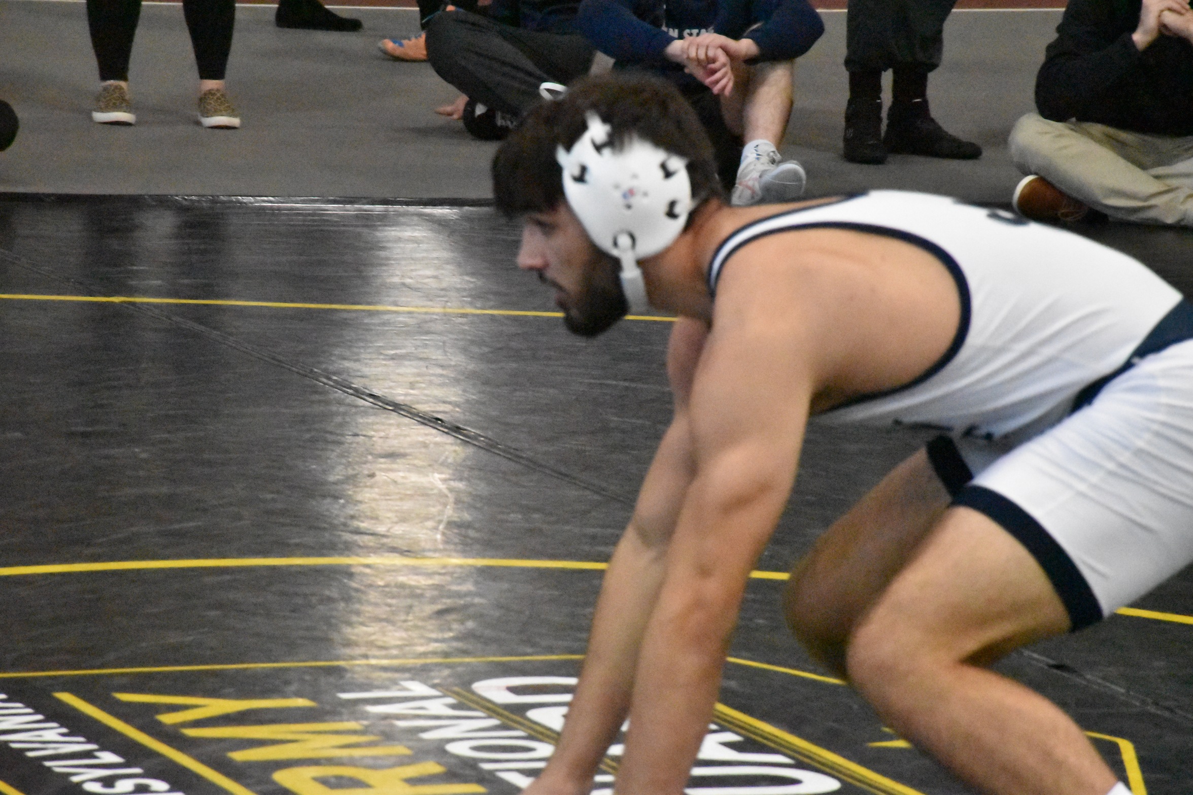 Behrend Wrestling Places Three; Lions Take Eighth