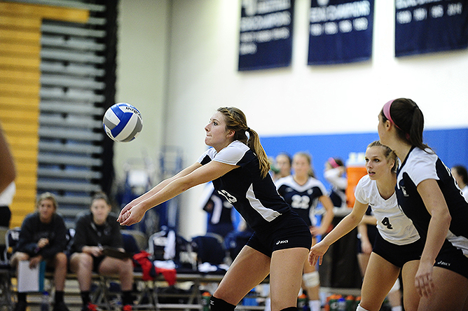 Volleyball Sweeps Pitt-Bradford; Lions Face Altoona in AMCC Semifinals