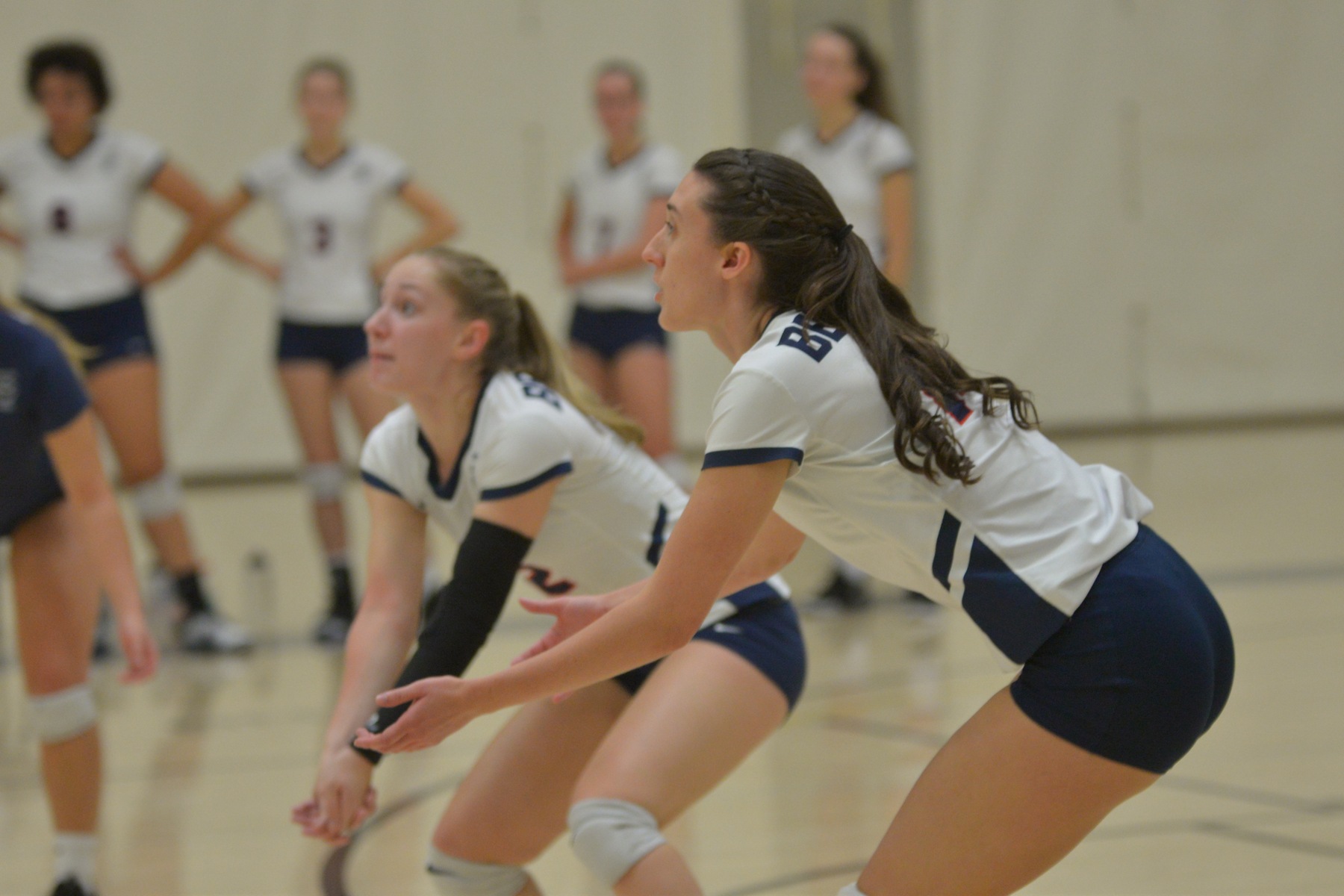 Women's Volleyball Splits at Lycoming Tip-Off Classic