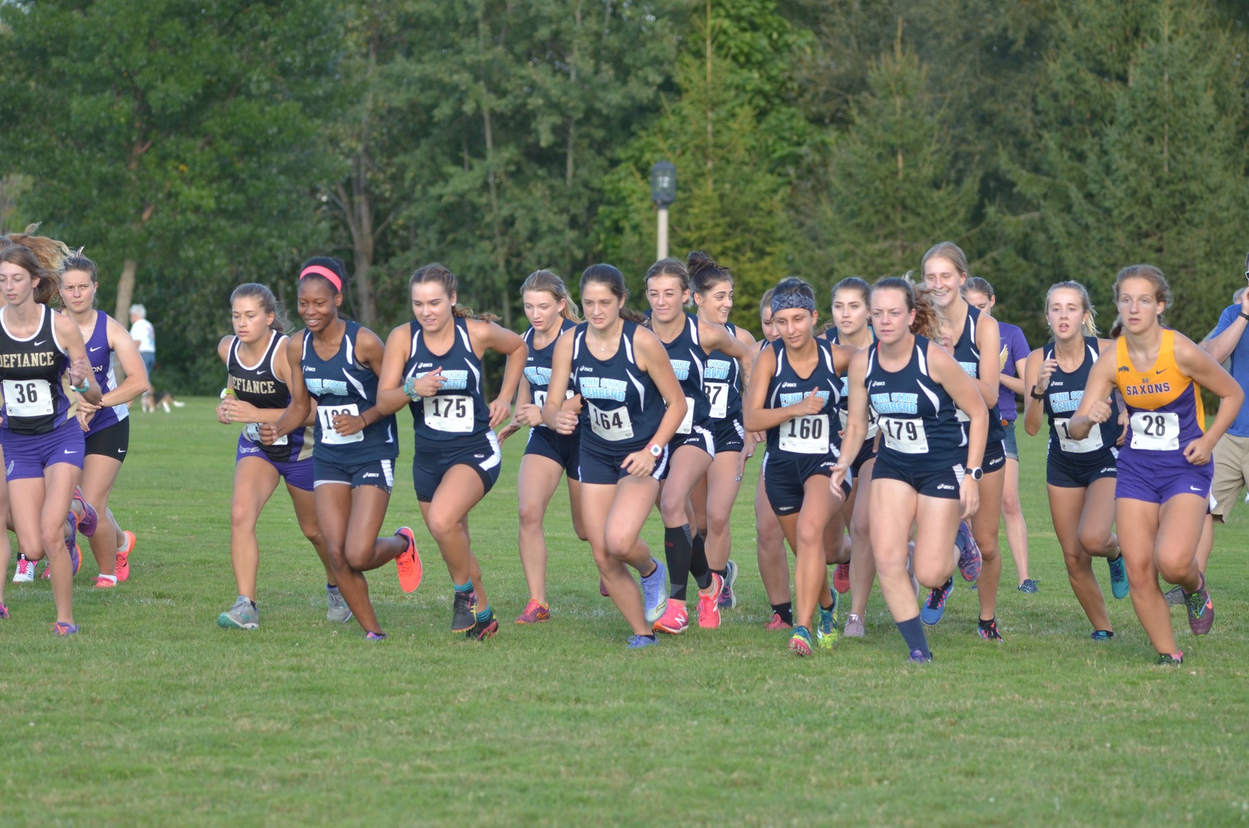 Lions Set to Host Cross Country Invite Friday