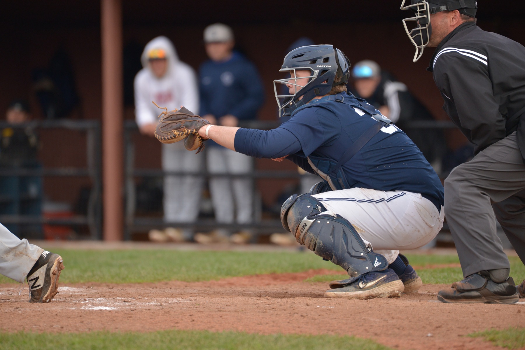 Behrend Baseball Splits With Penn State Altoona