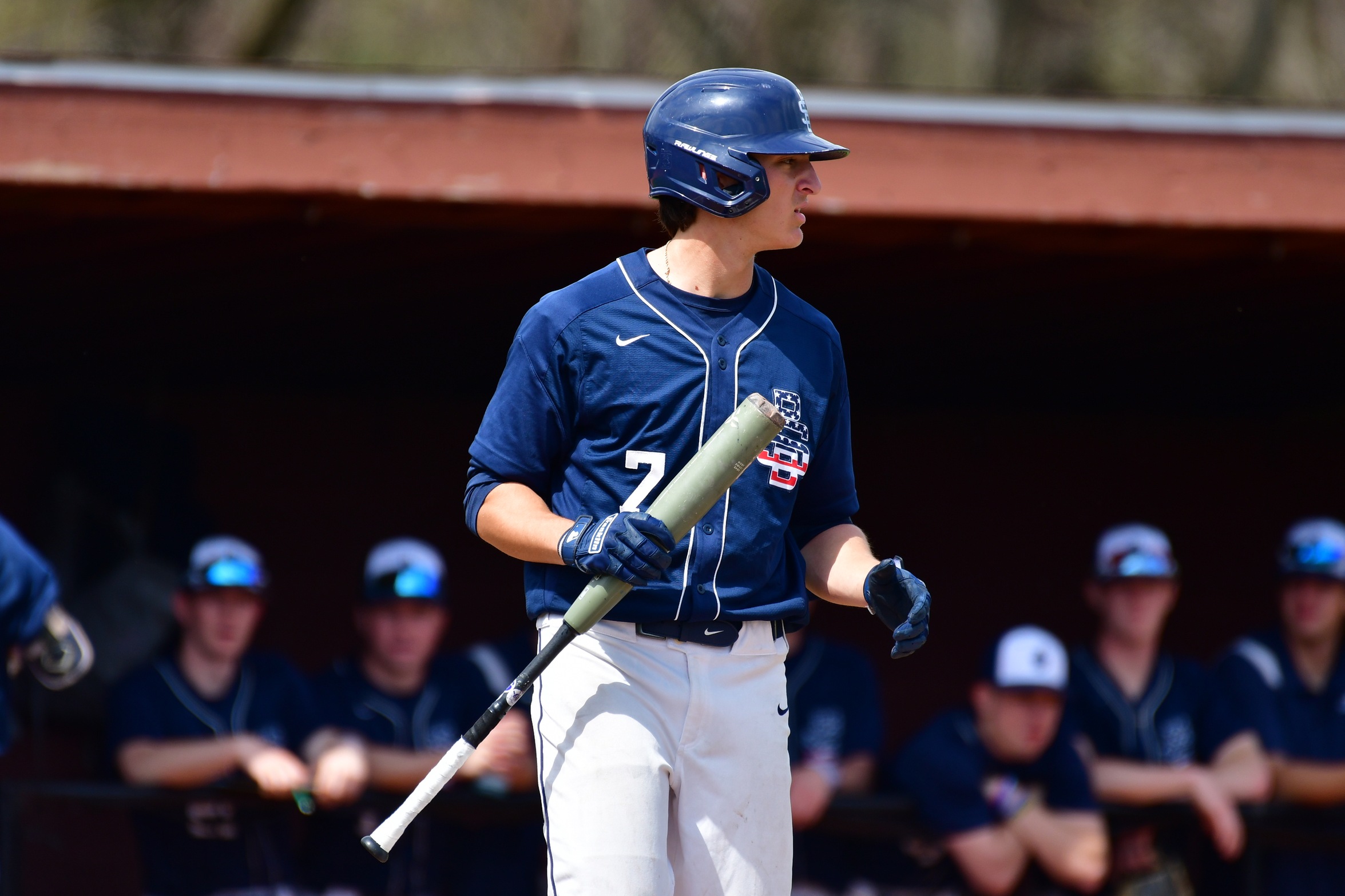 Behrend Baseball's 2024 Campaign Ends On Second Day of NCAA Regionals