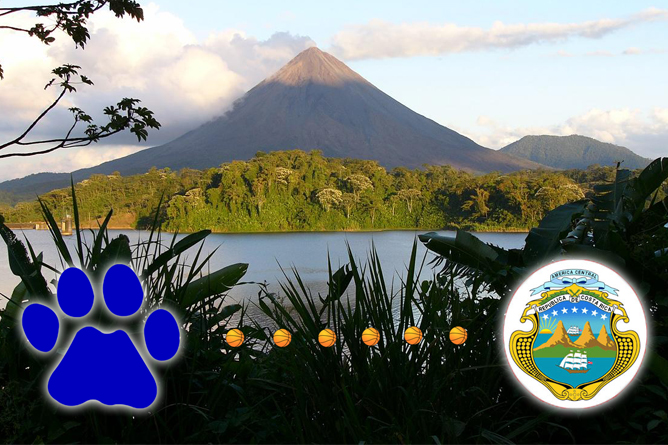 Men's Basketball To Travel To Costa Rica