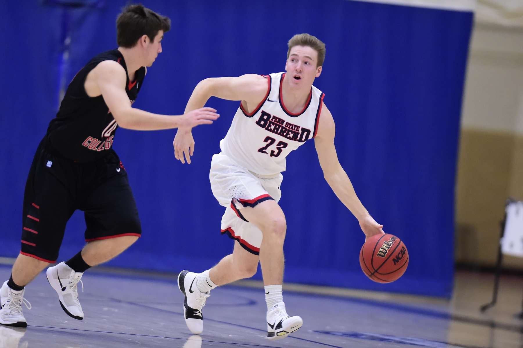 Lions Notch Road Win, Defeating D'Youville 70-51