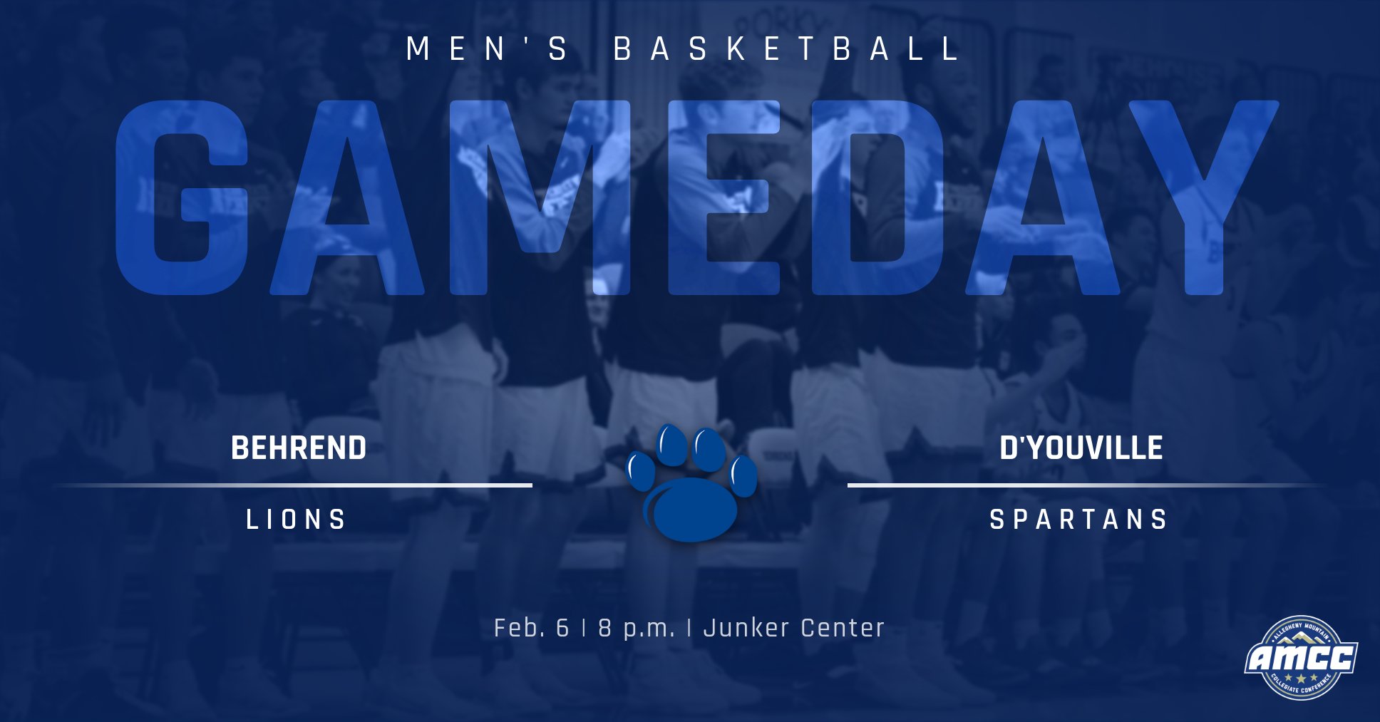 Lions Host D'Youville in AMCC Action on Wednesday