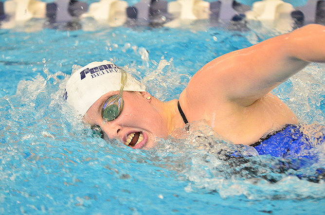Lions Defeat Penn State Altoona; Set New Pool Record in the 800 Freestyle Relay