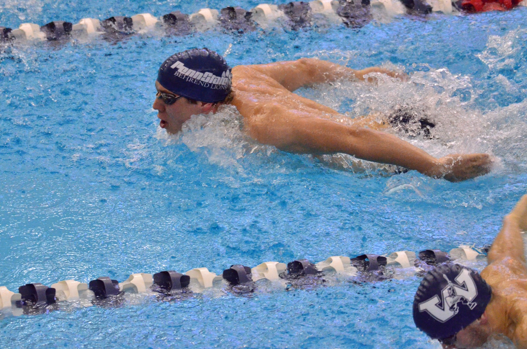 Westminster Nips Men's Swimming and Diving