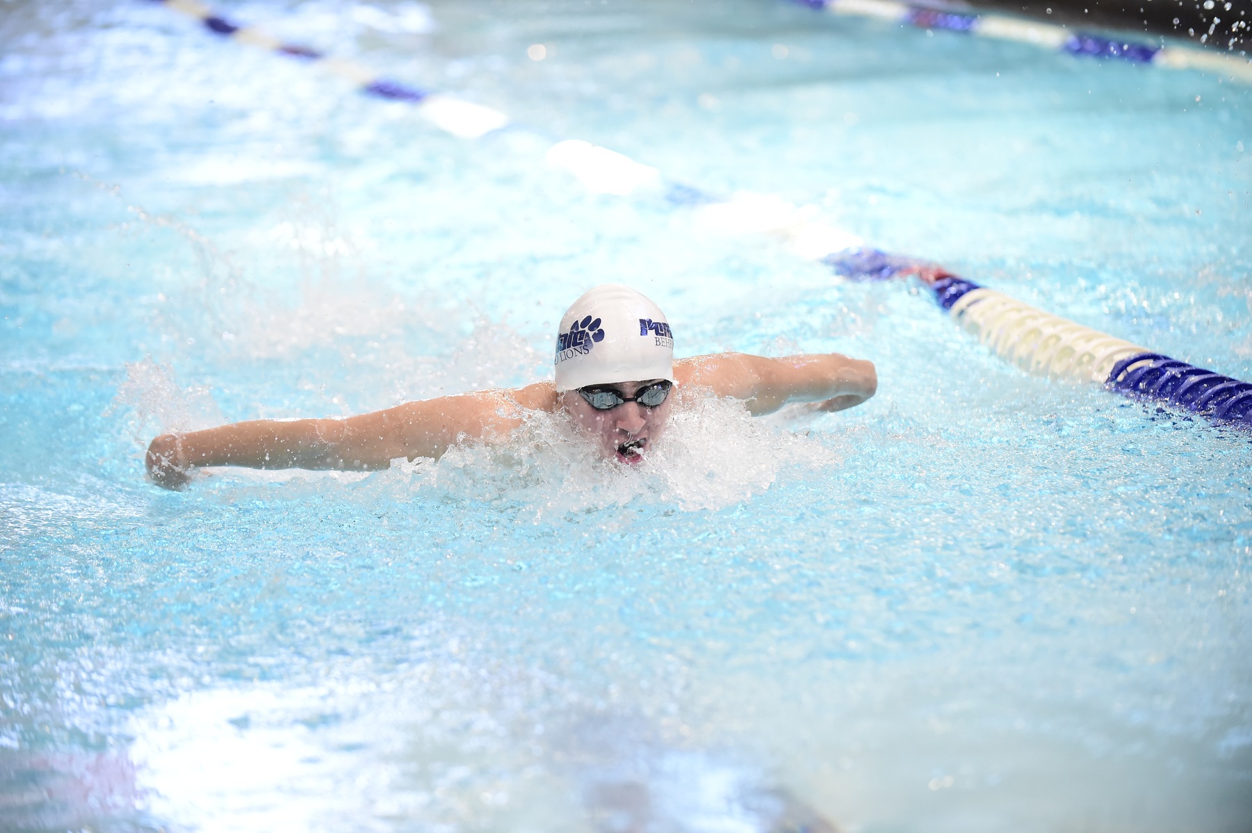 Men's Swimming Downs Penn State Altoona