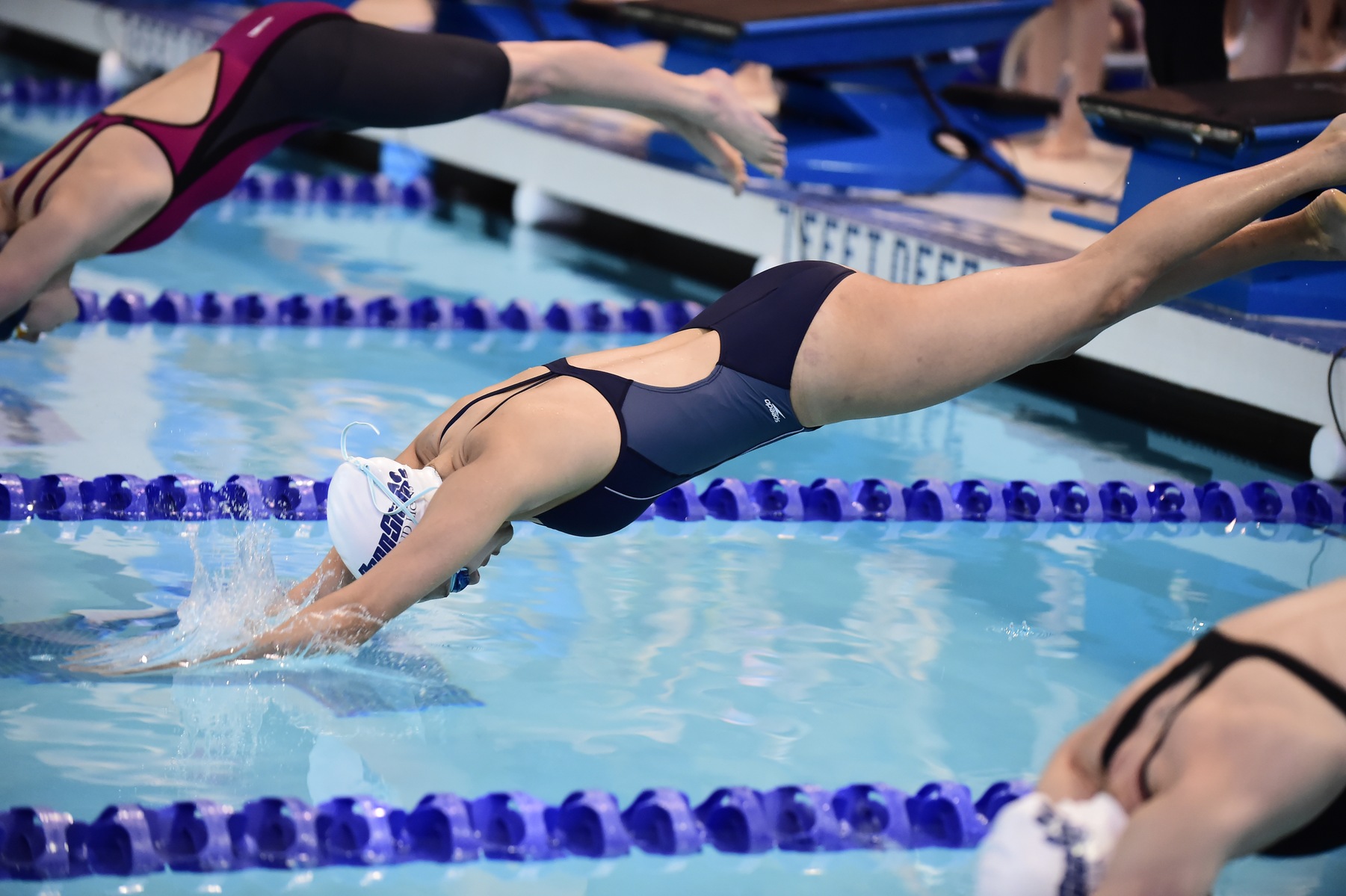 Women's Swimming and Diving Falls Short at W&J