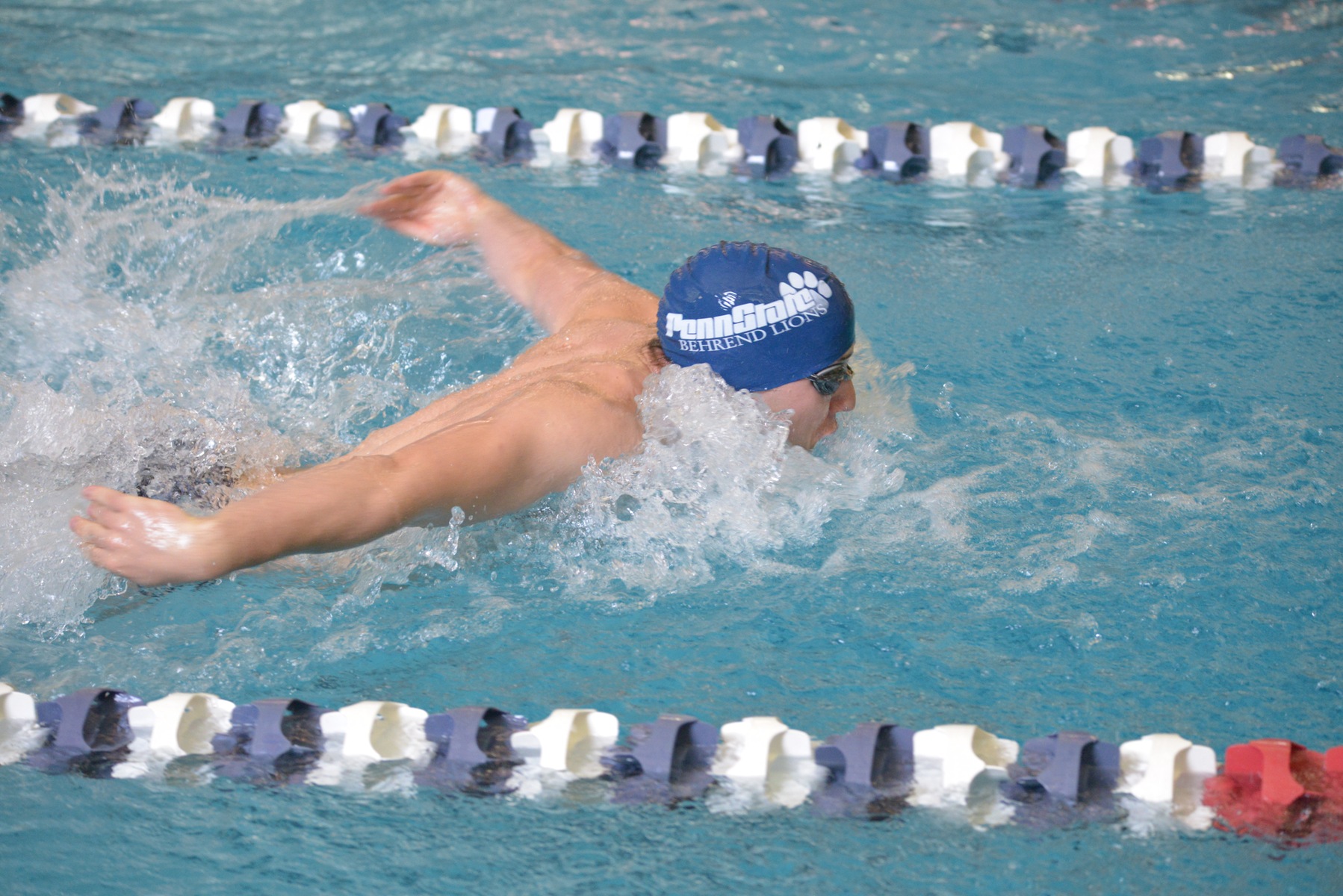 Men's Swimming Takes Down Penn State Altoona