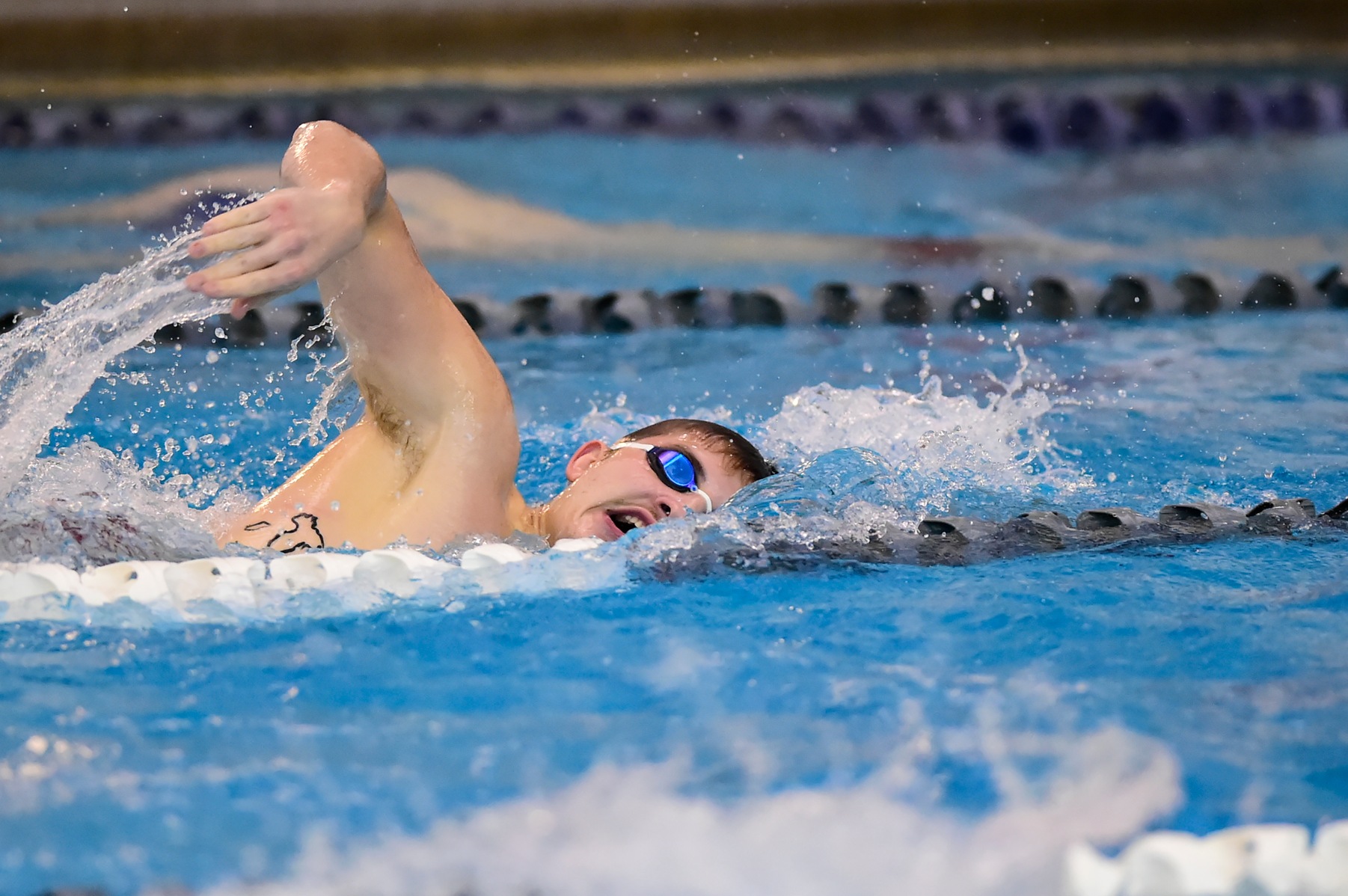 Men's Swimming and Diving Downs Pitt-Bradford; Relay Sets Pool Record