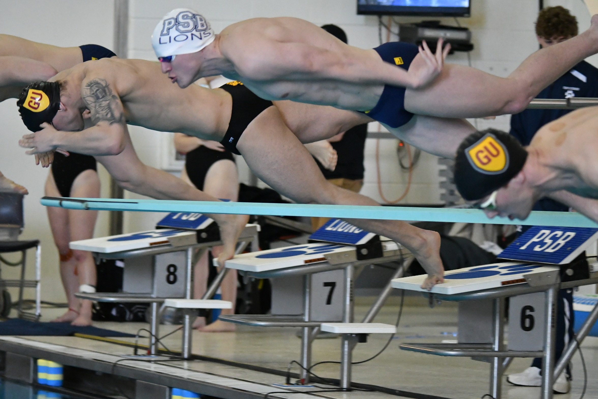 Compton Named Men's Swimmer of the Meet; Lions Finish Second at AMCC Championships