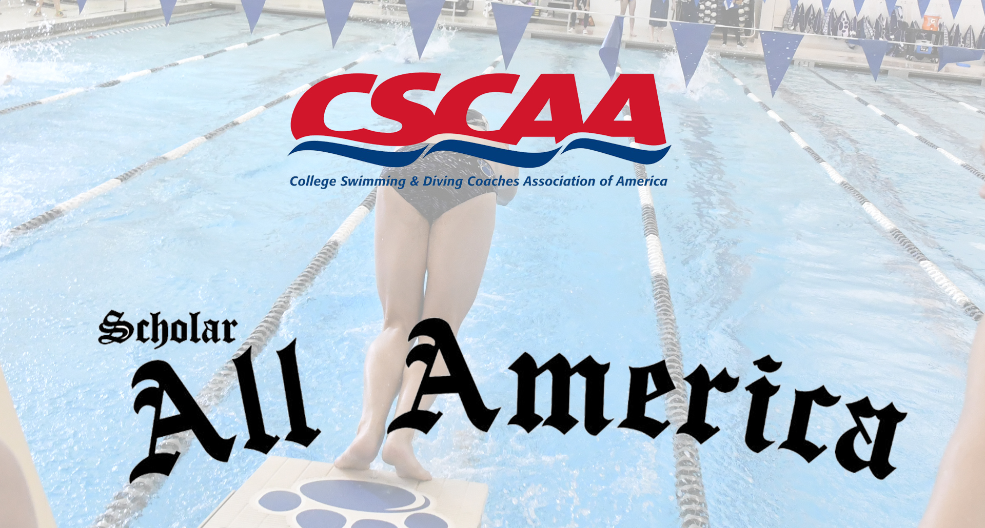 Behrend Swimming and Diving Chosen to Scholar All-America Team