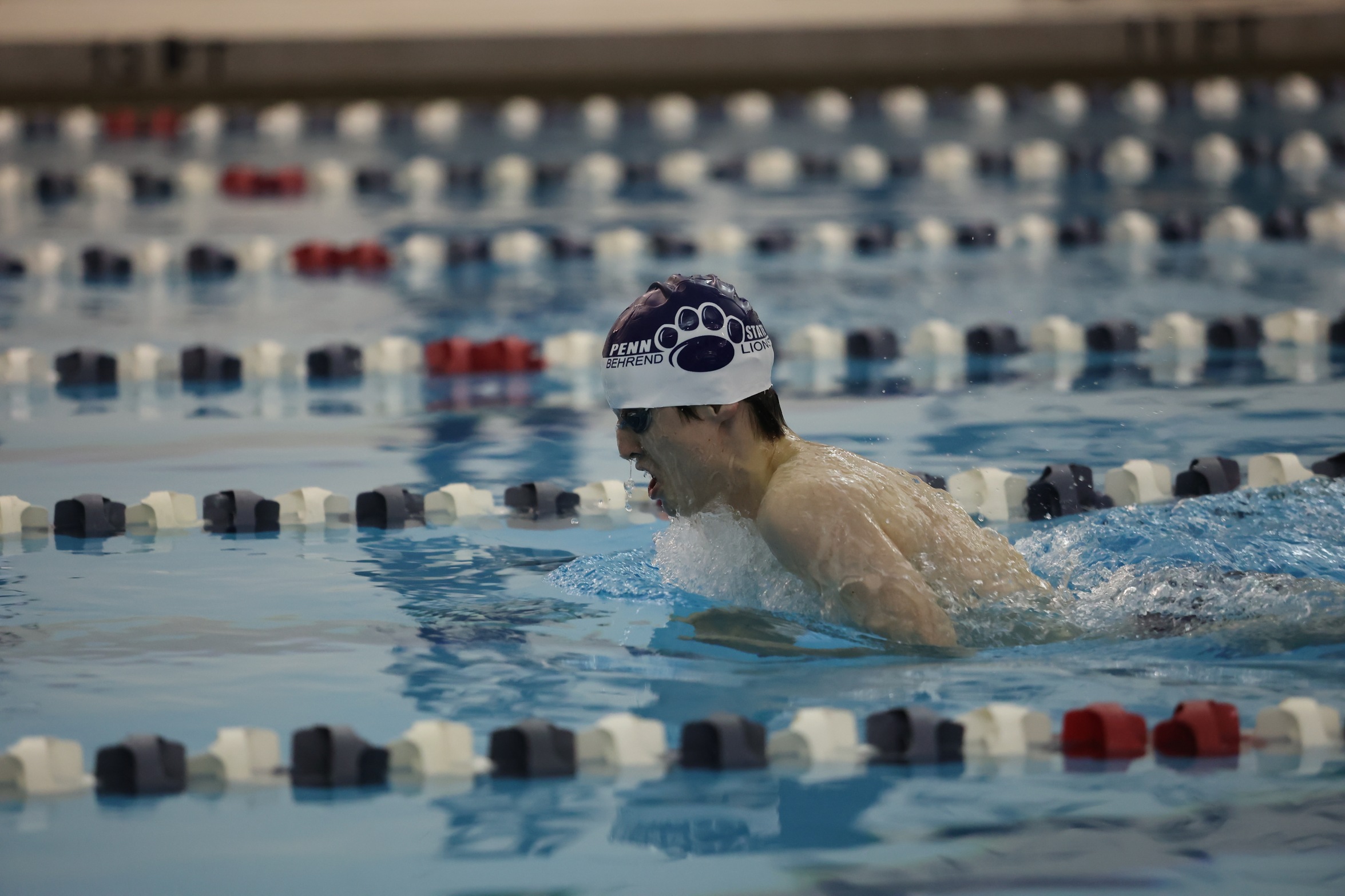 Behrend Men's Swimming Places Third at Oberlin Invite