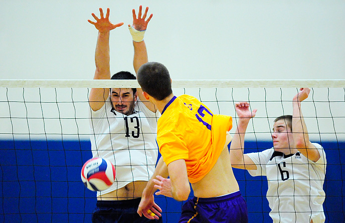Lions Upset Sixth-Ranked NYU; Behrend Falls in UVC Semifinals
