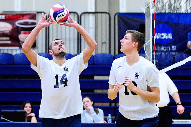 D'Youville Edges Men's Volleyball in Five