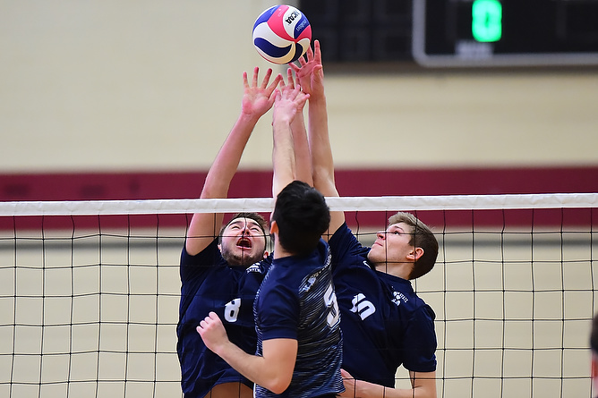 Behrend Lions Handle Medaille