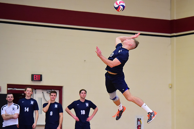 D'Youville Rallies Back to Edge Behrend Men's Volleyball