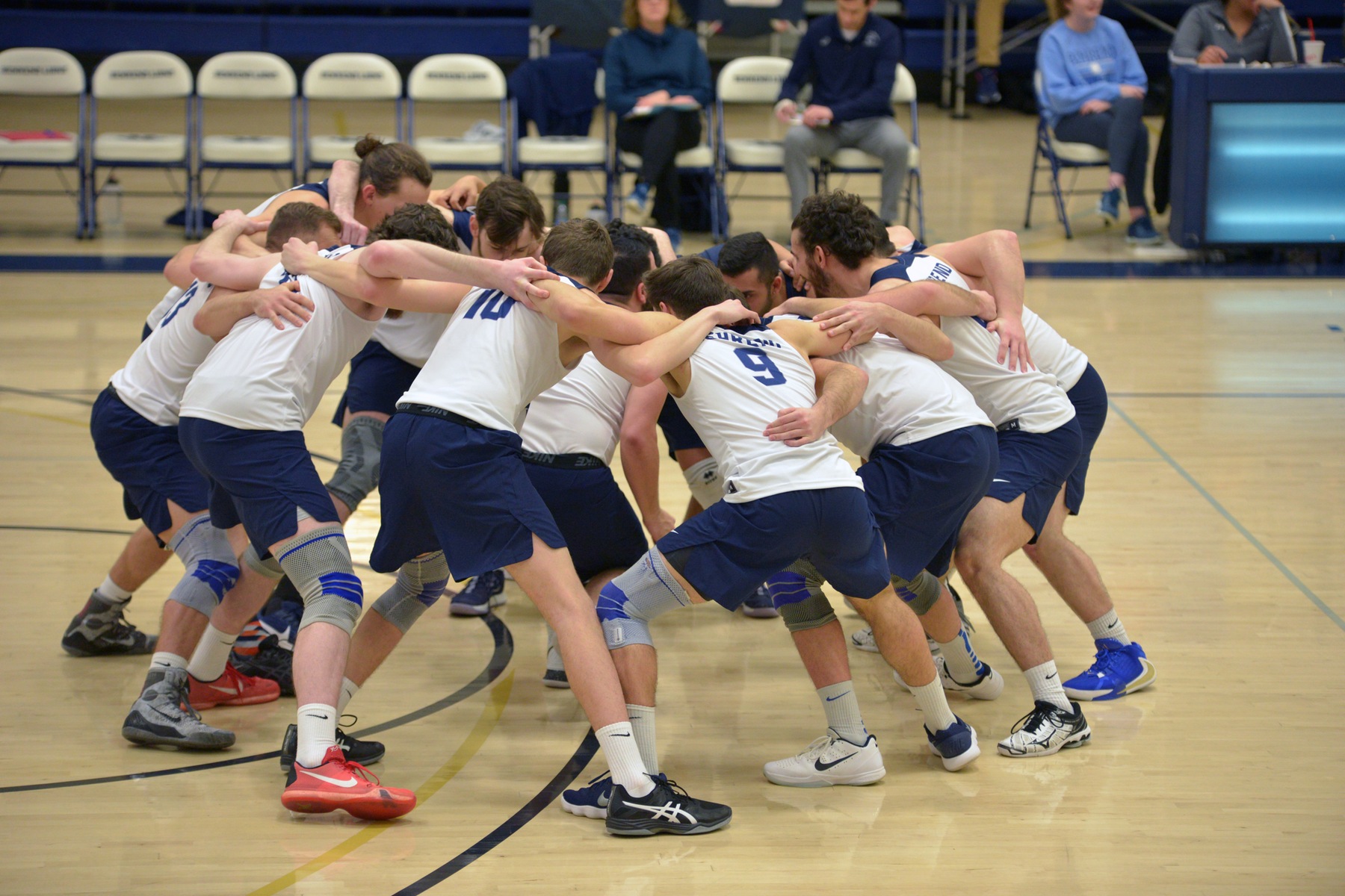Behrend Men's Volleyball Heads to D'Youville Wednesday