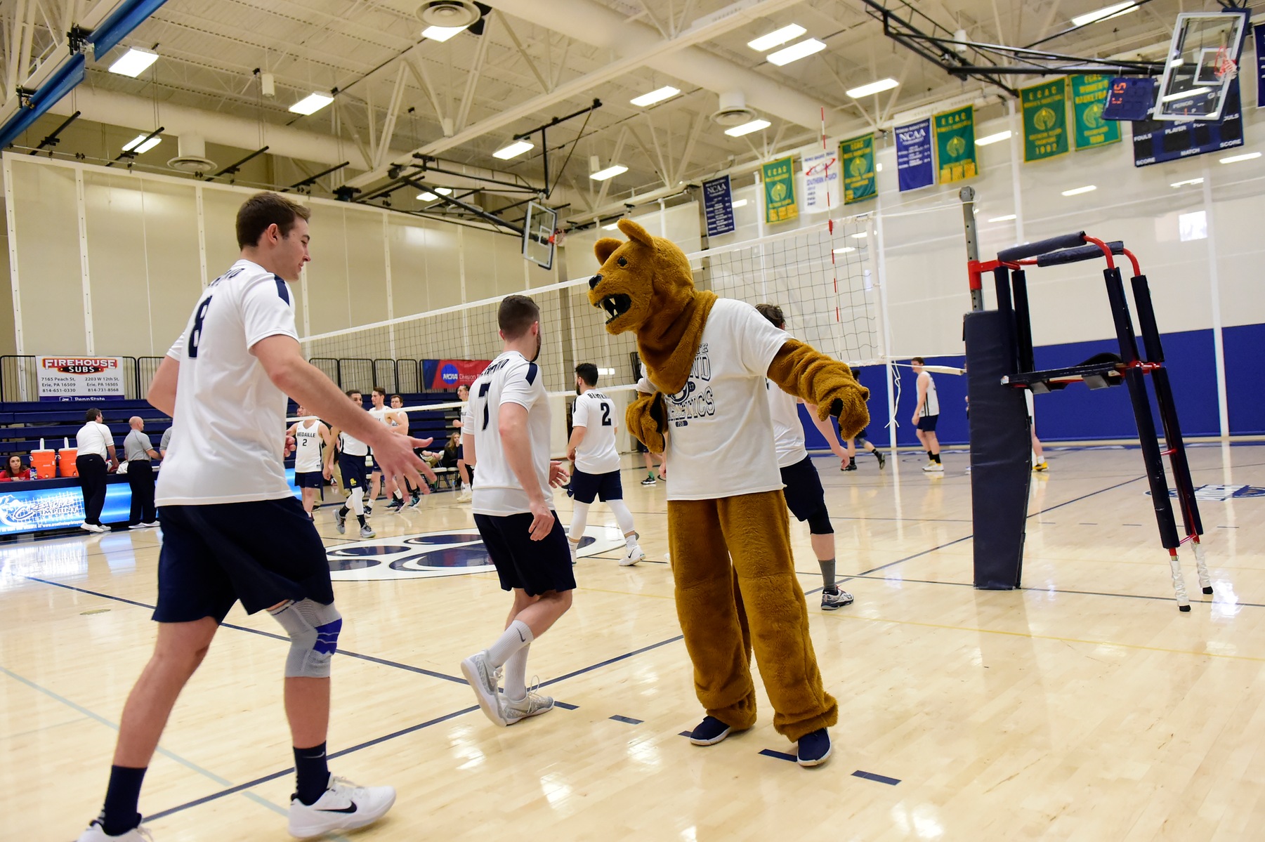 Behrend Men's Volleyball Hosts Mt. Union in Home Opener Thursday Night