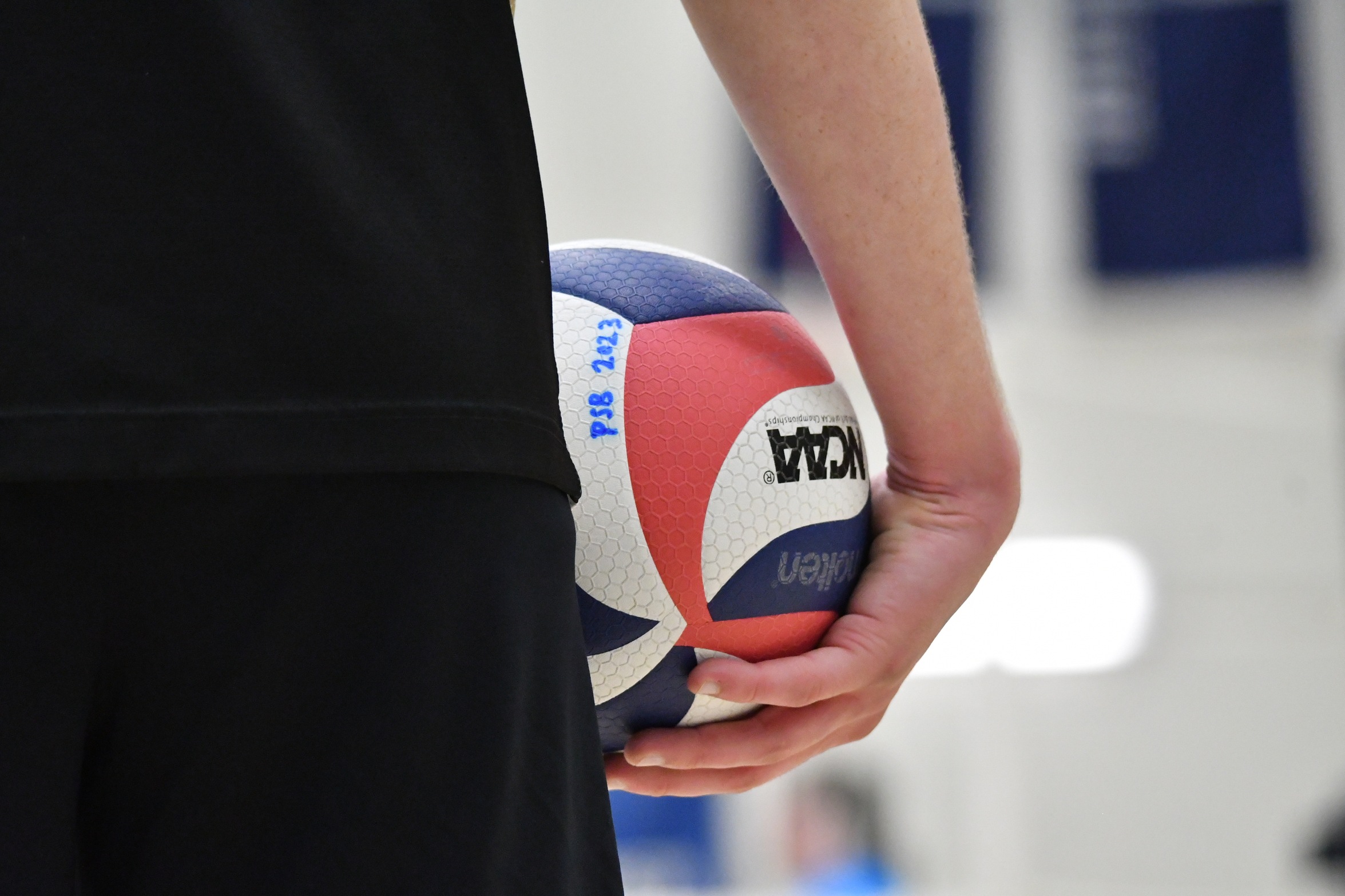 Behrend Men's Volleyball Set to Host ECAC Championships Saturday