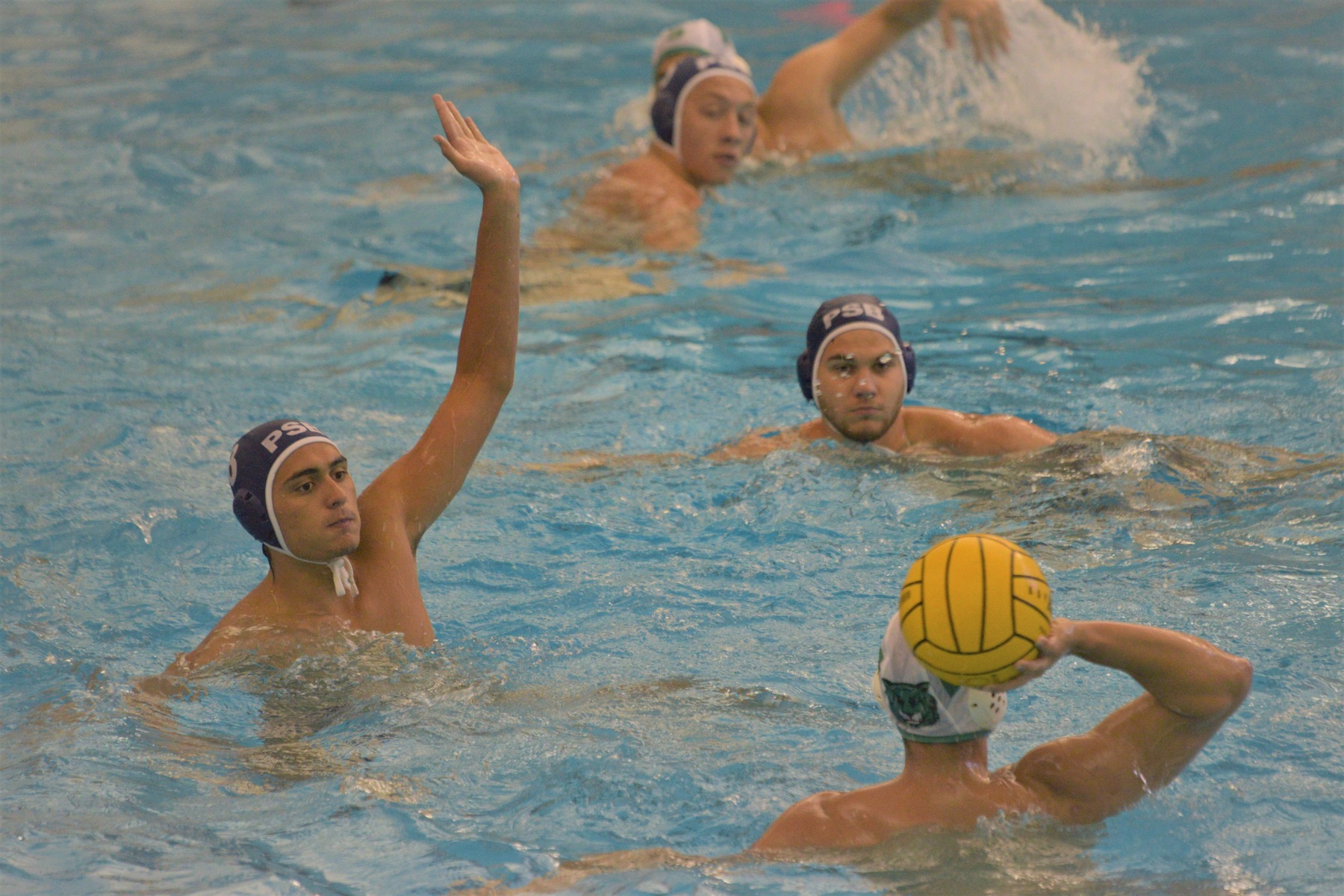 Lions Take Home Fifth Place in MPSF Tournament; Behrend Defeats Austin