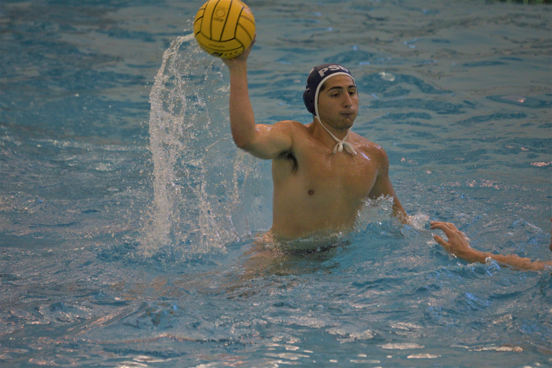 Lions Fall to Austin, UCLA in MPSF Tournament
