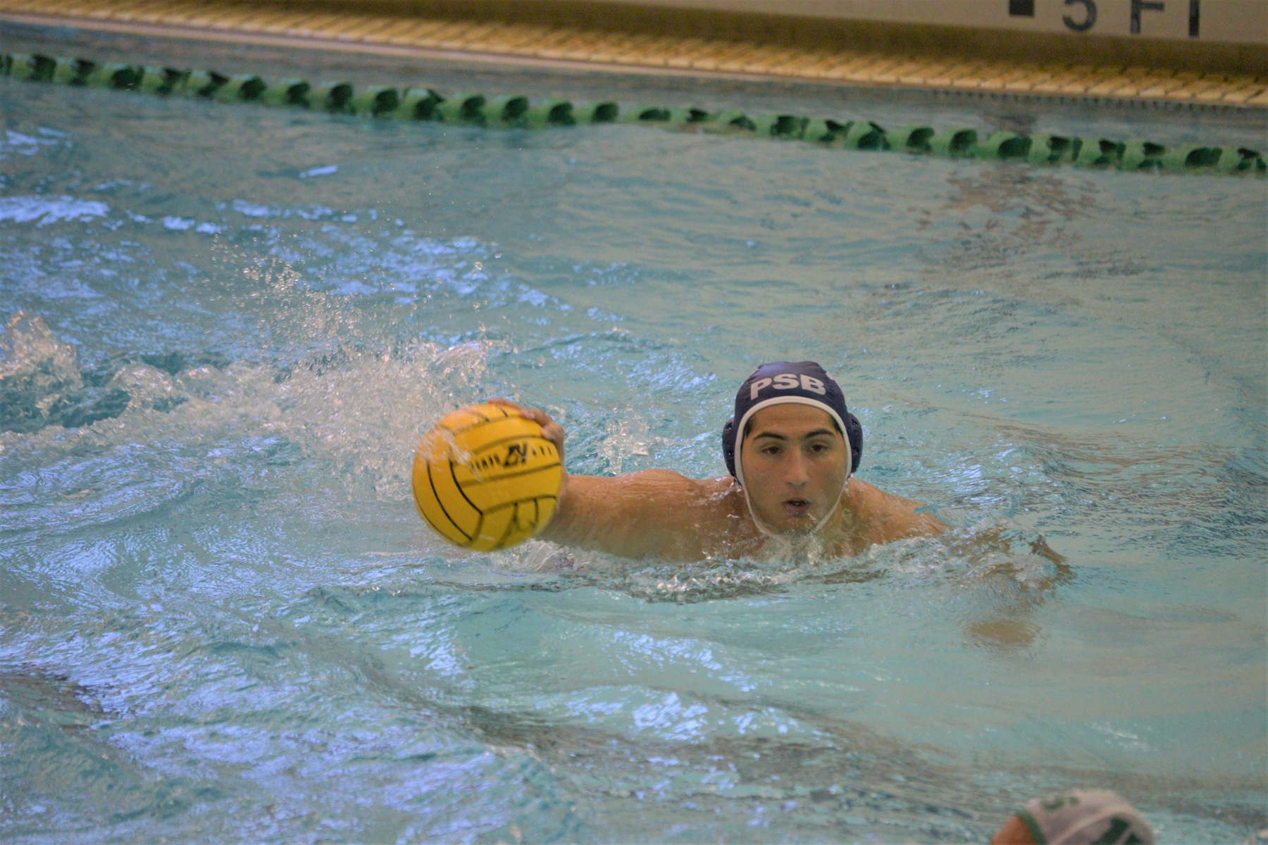 Lions Fall to Gannon and Mercyhurst in Men's Water Polo