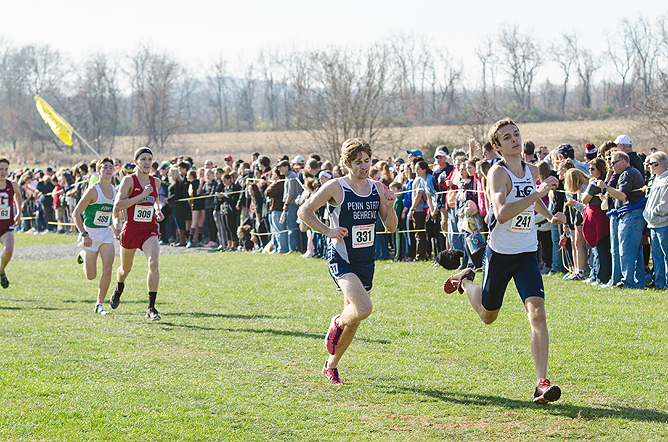 Men's Cross Country Competes at NCAA Regionals