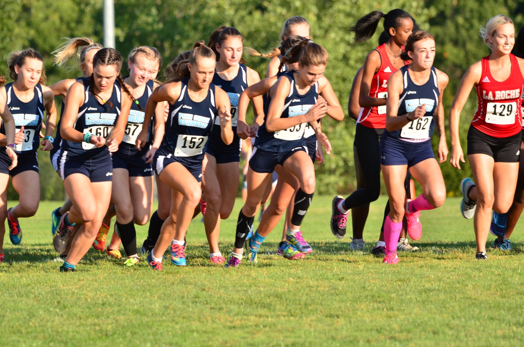 Women's Cross Country Run Away With All-Conference Honors
