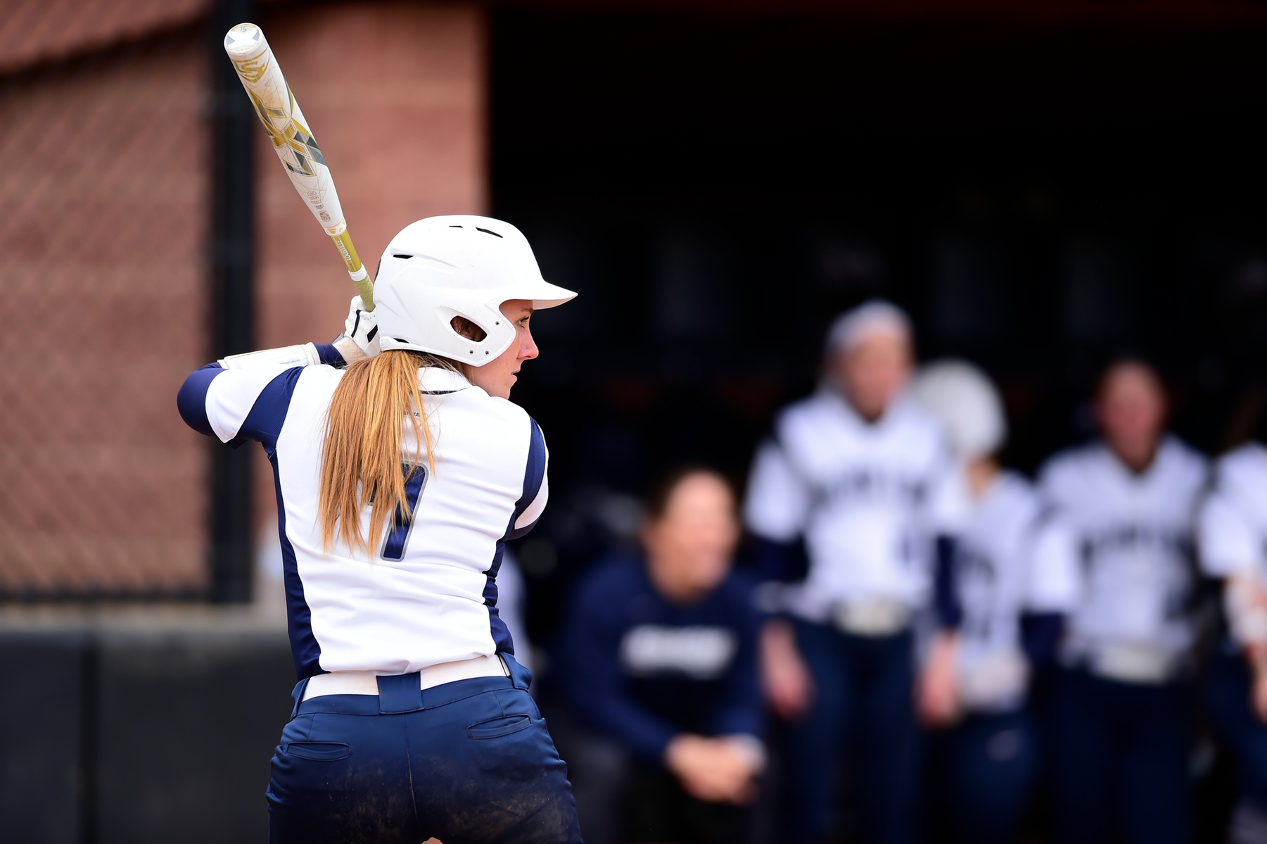 Behrend Softball Completes Spring Games; Take Downs Keuka