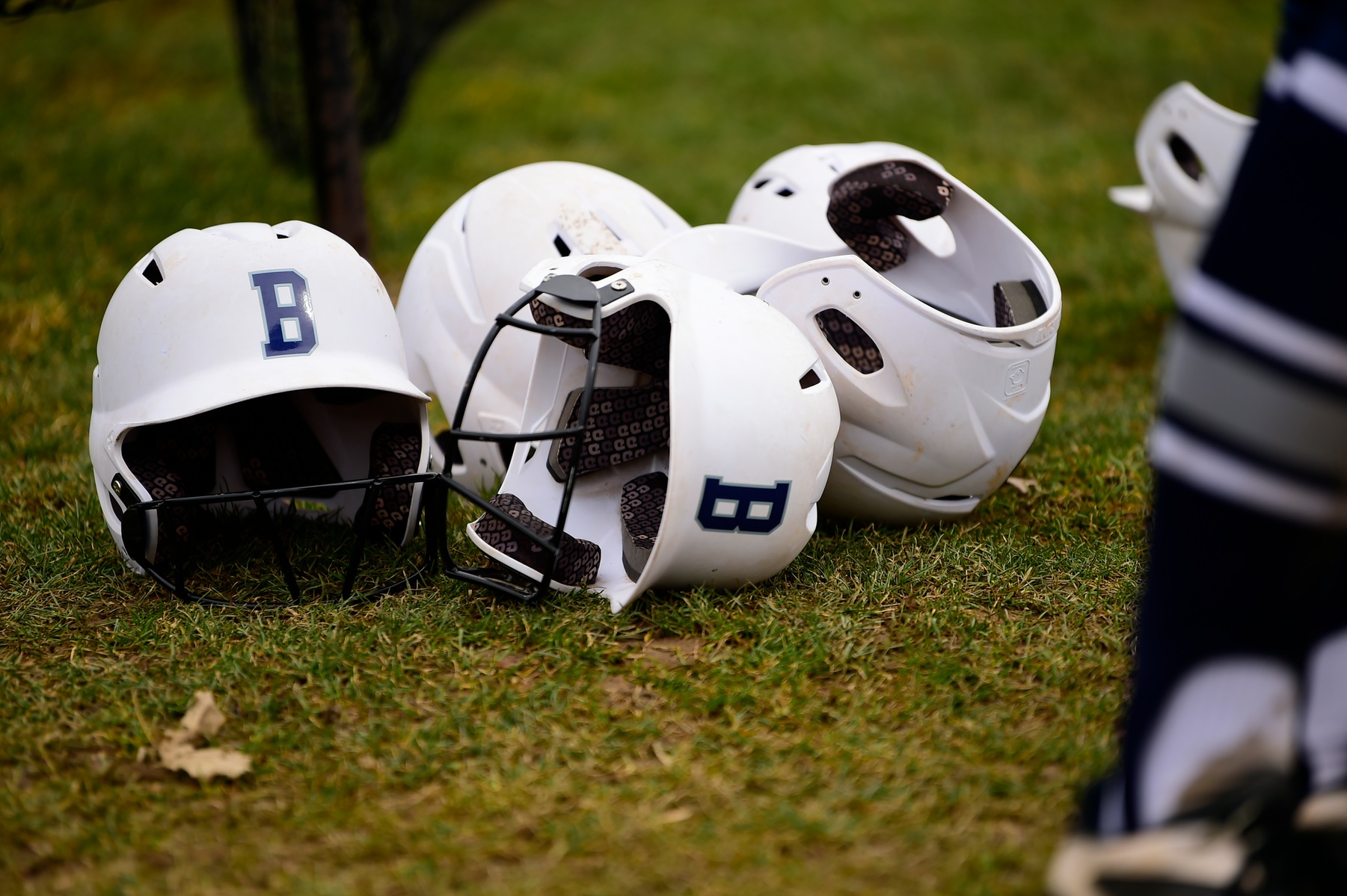 Behrend Softball Prospect Camp Announced