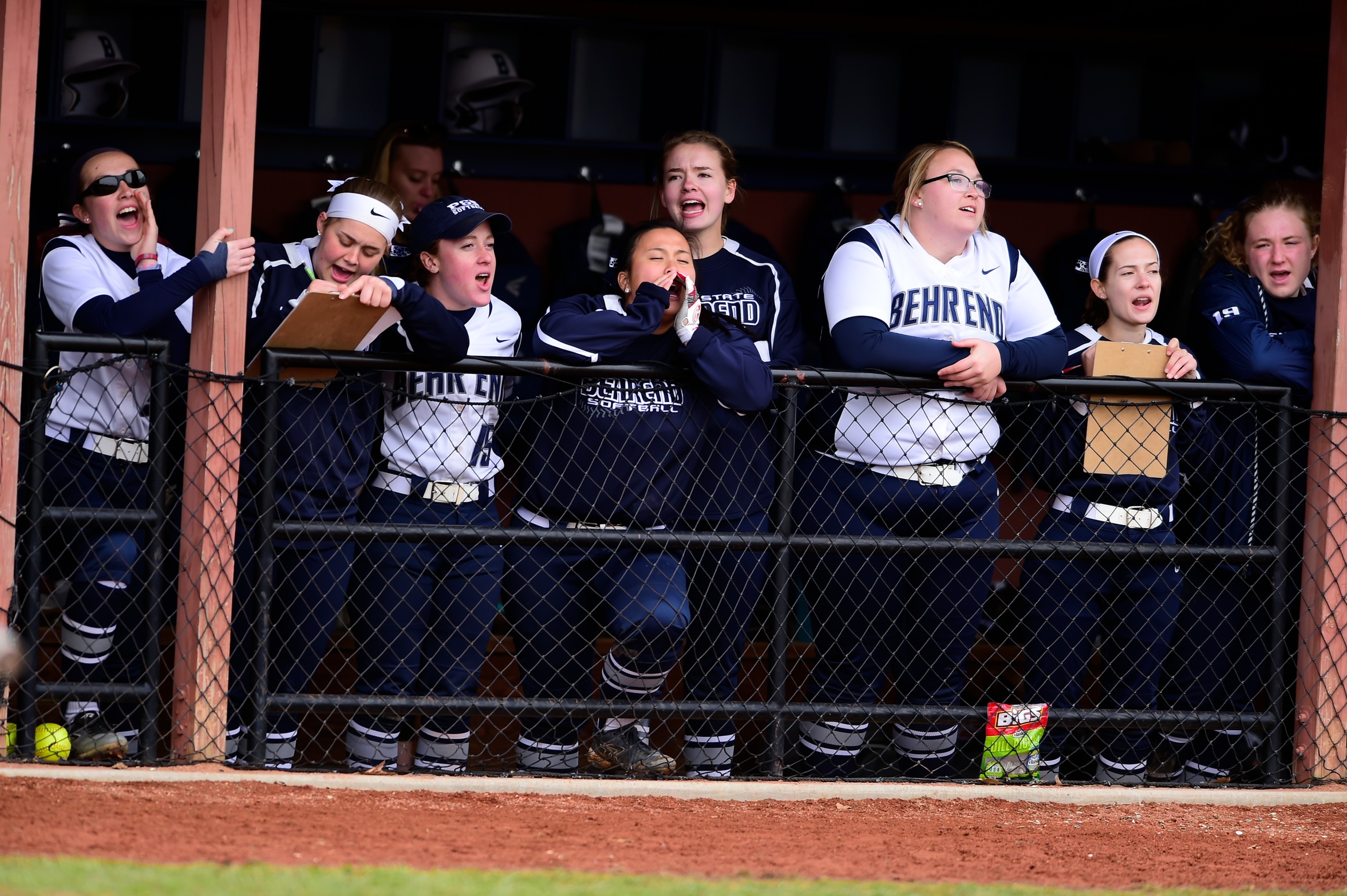 Behrend Softball Picked to Finish Second in AMCC Preseason Poll
