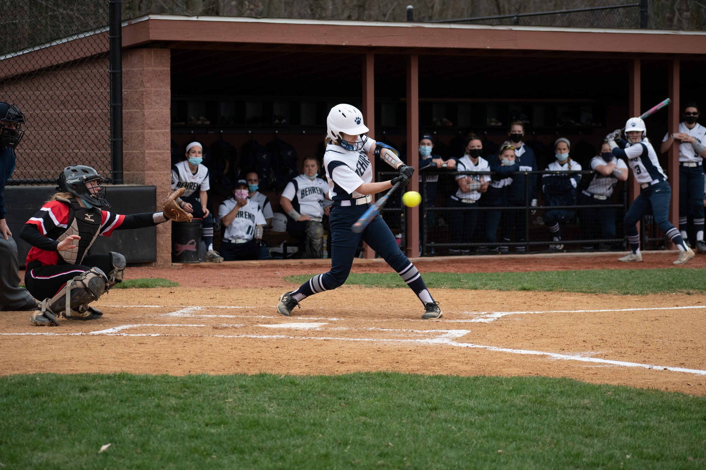 Lions Split With Altoona in AMCC Games of the Week