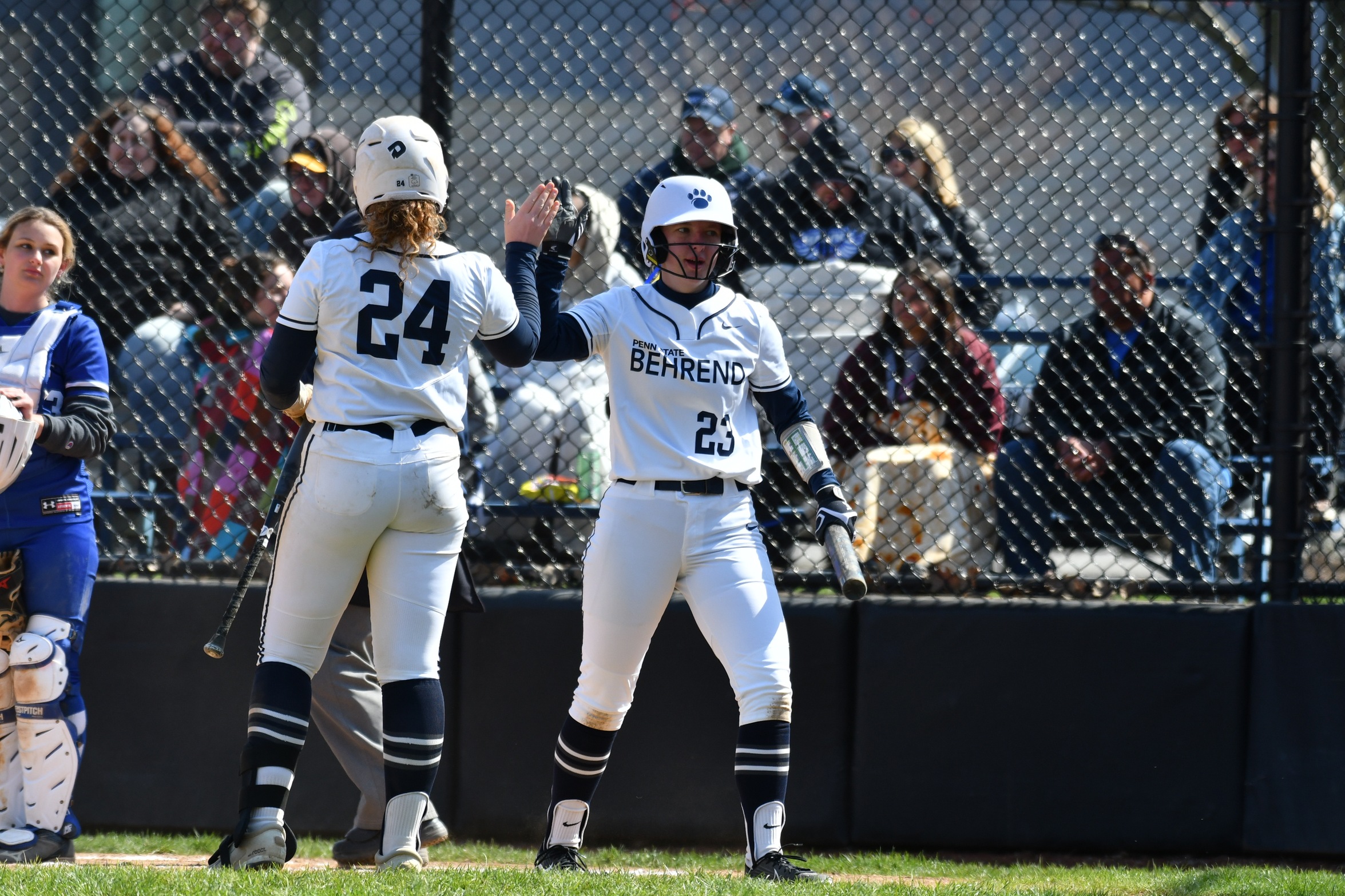 Behrend Softball Sweeps Altoona in AMCC Action