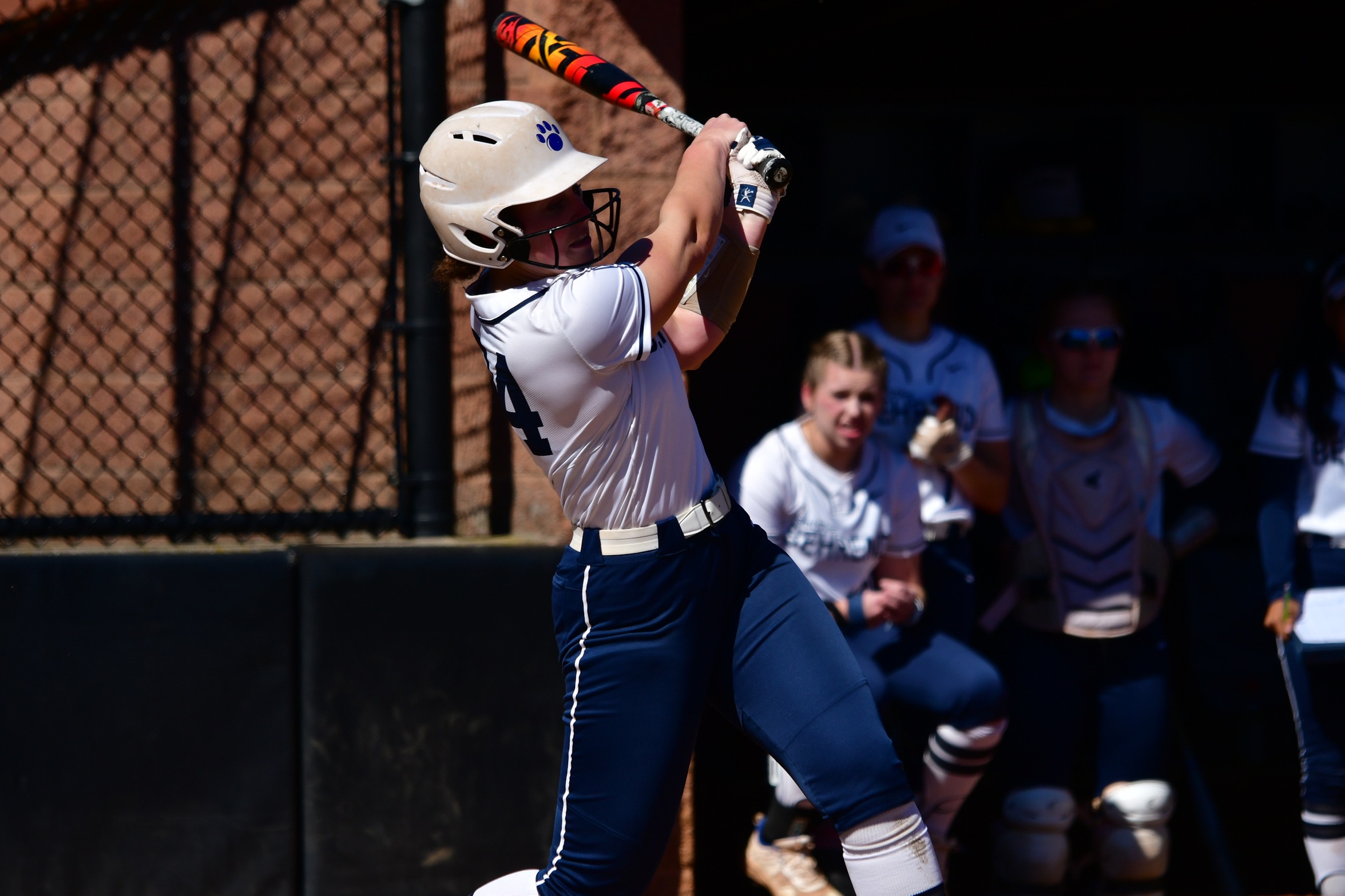 Behrend Softball Completes Undefeated Season in AMCC; Lions Sweep Carlow