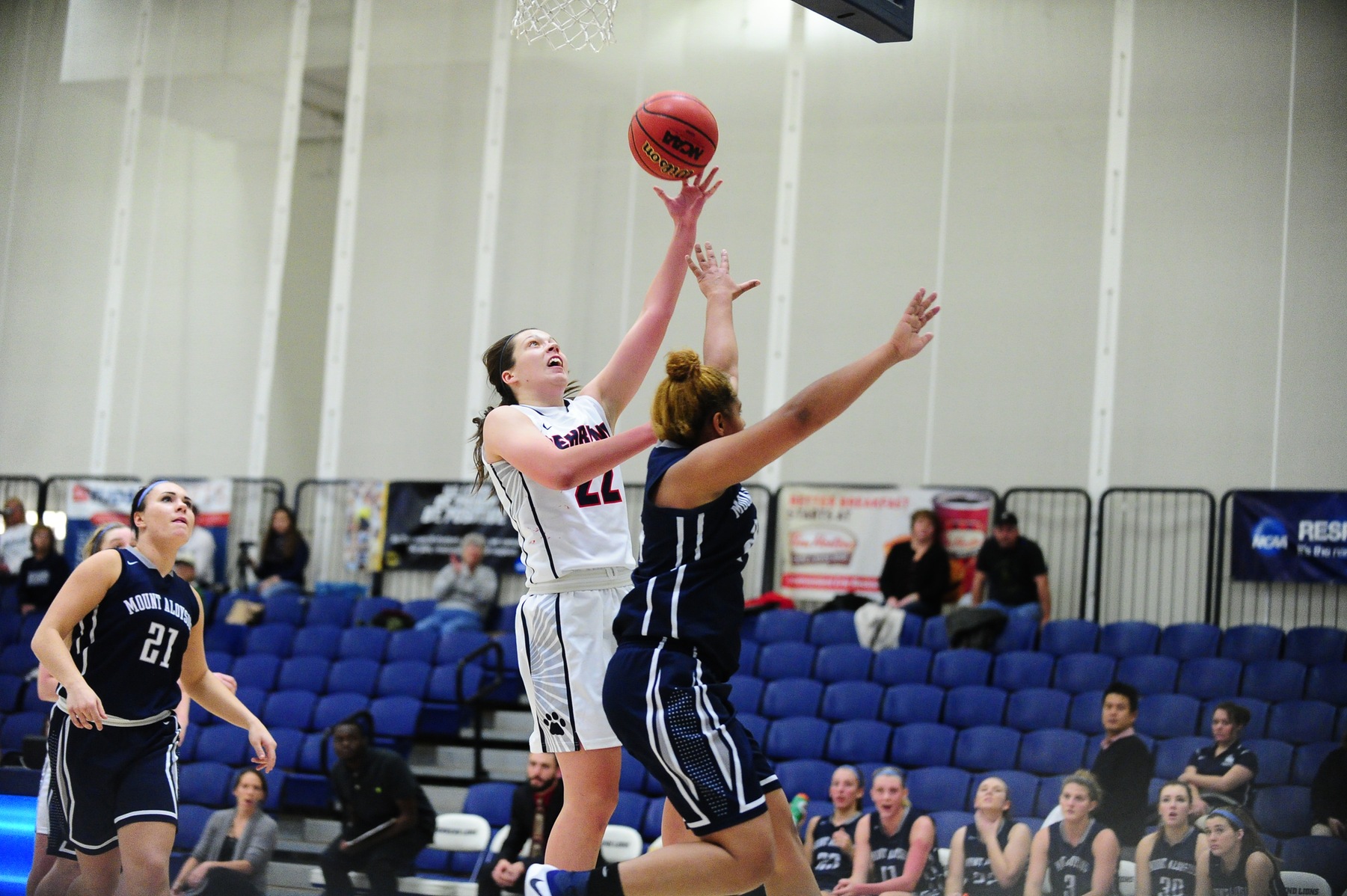 Late Free Throws Lift Lions Past Mt.Aloysius