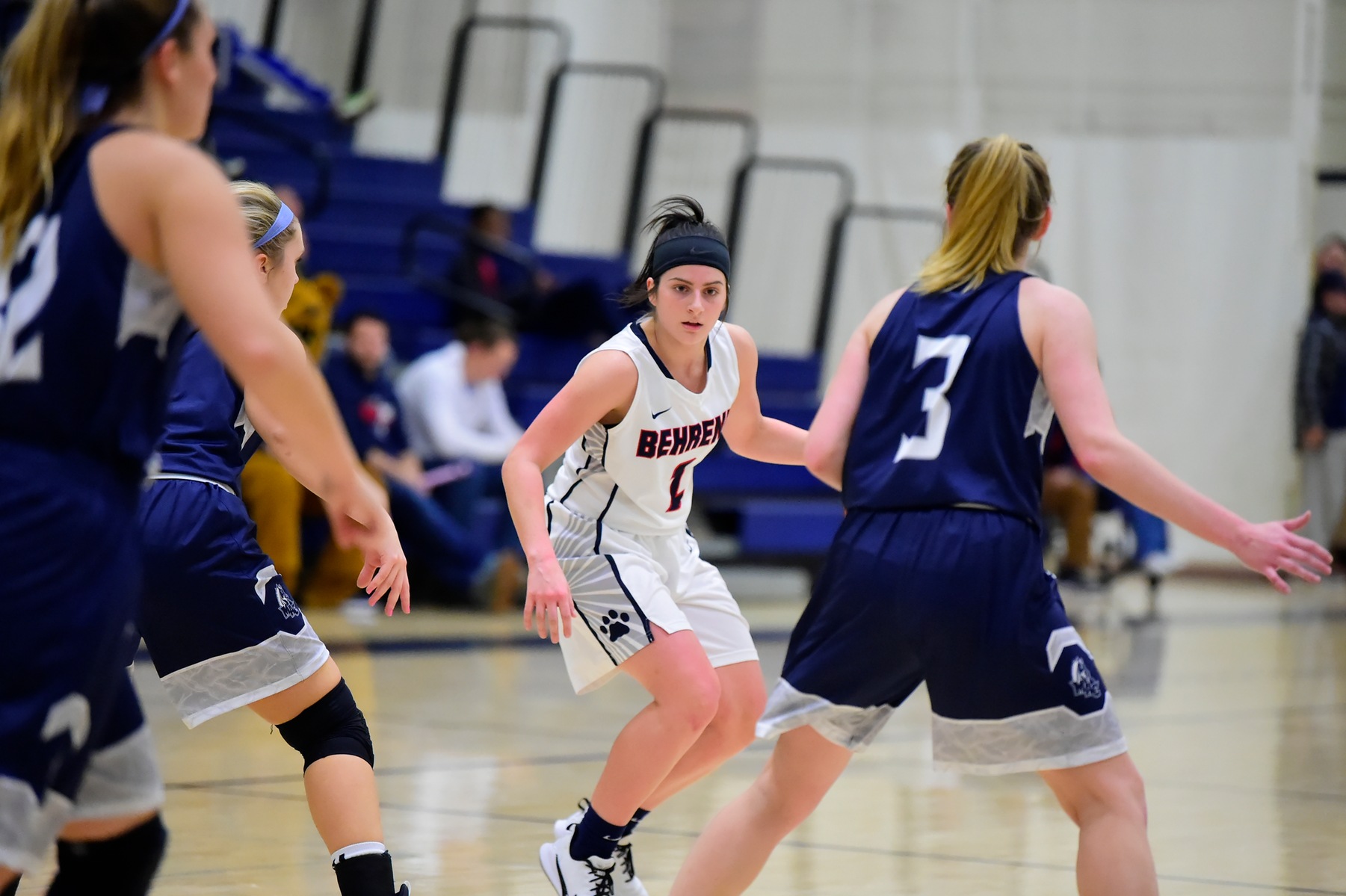 Behrend Hoops Headed to Cabrini for ECAC Quarterfinal