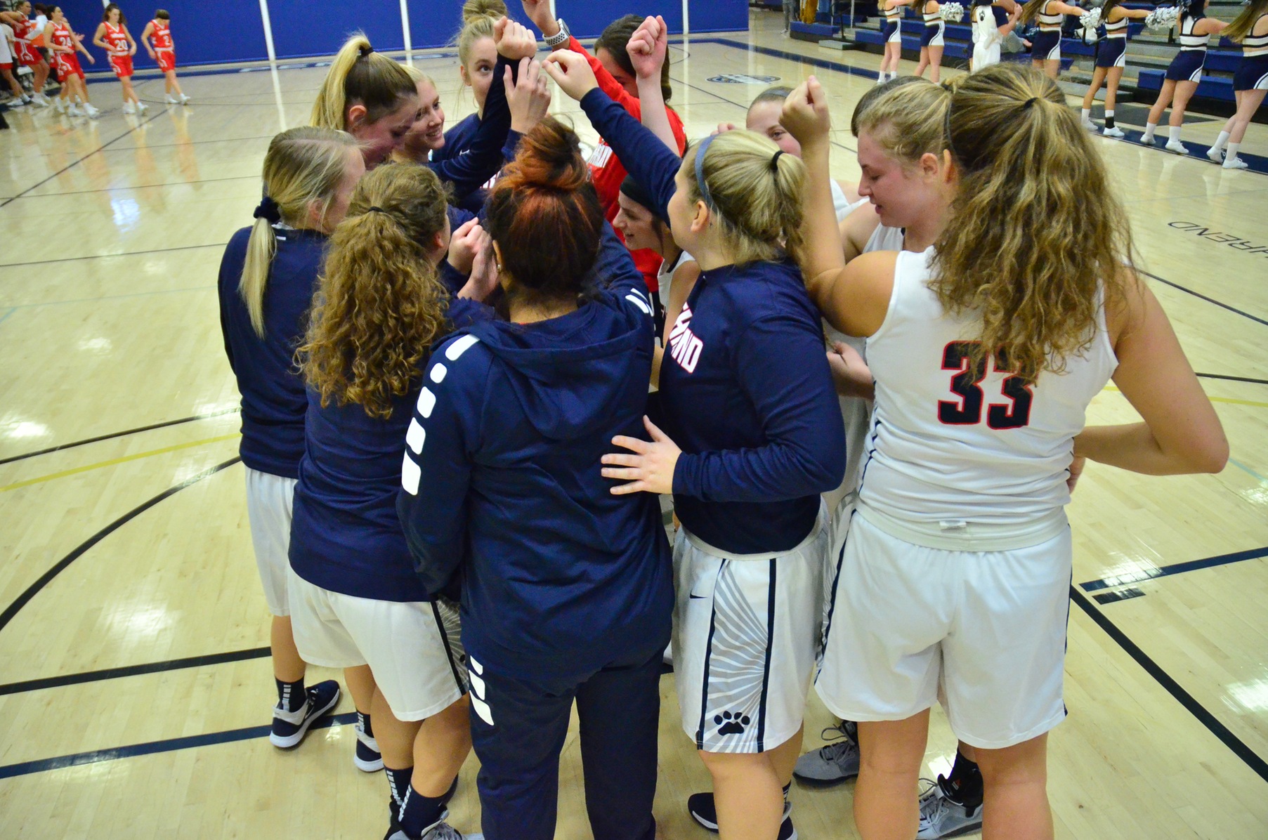 Women's Basketball Falls to D'Youville Wednesday