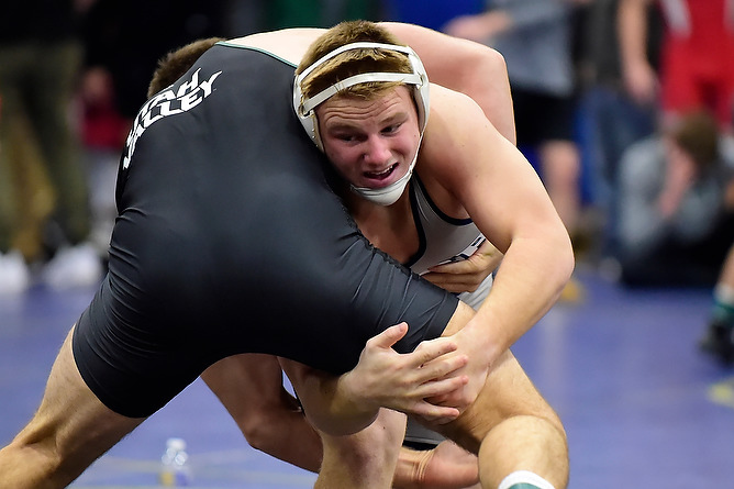 Wrestling Falls to Lycoming and Thiel